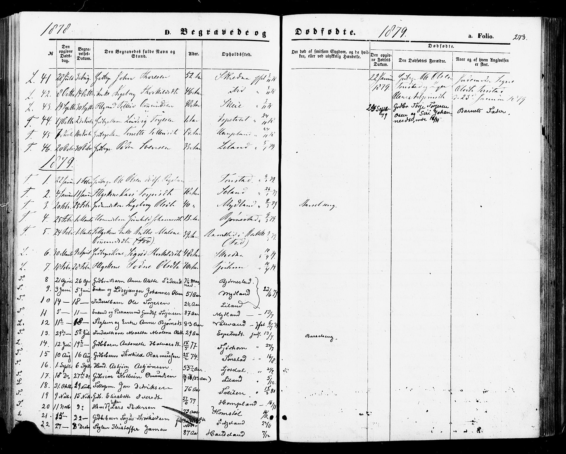 Sirdal sokneprestkontor, SAK/1111-0036/F/Fa/Fab/L0003: Parish register (official) no. A 3, 1874-1886, p. 273