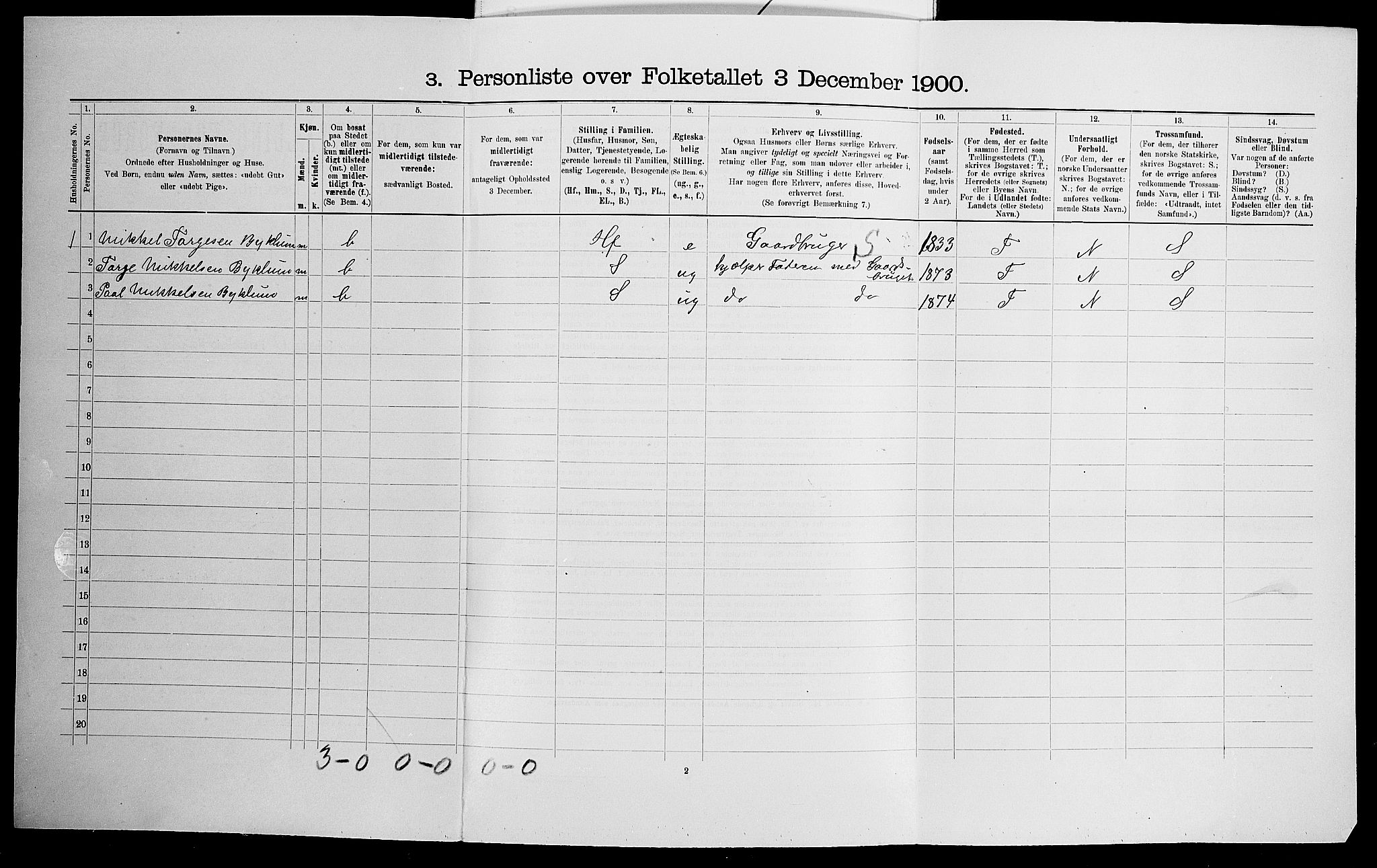 SAK, 1900 census for Valle, 1900, p. 196