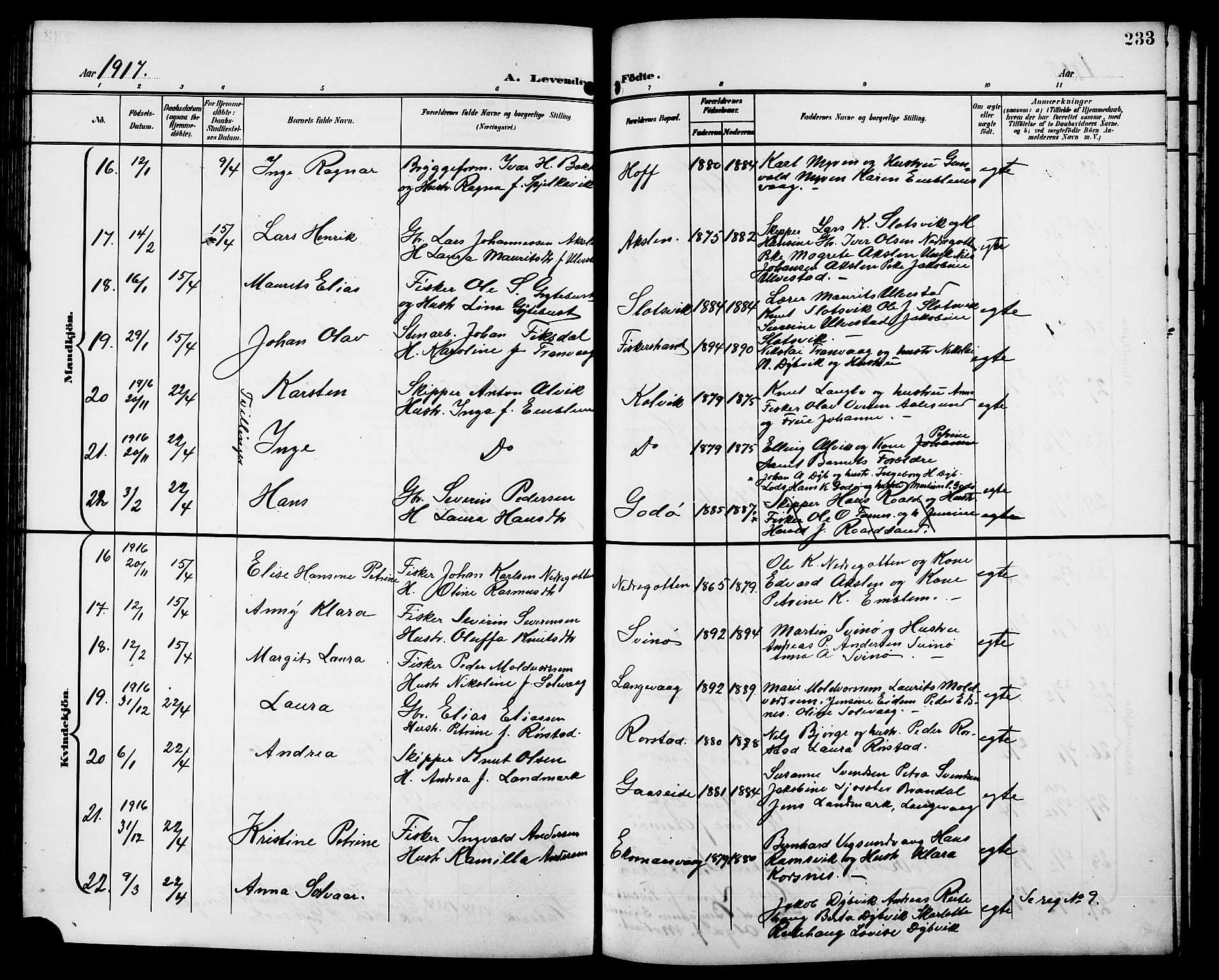 Ministerialprotokoller, klokkerbøker og fødselsregistre - Møre og Romsdal, AV/SAT-A-1454/528/L0432: Parish register (copy) no. 528C13, 1898-1918, p. 233