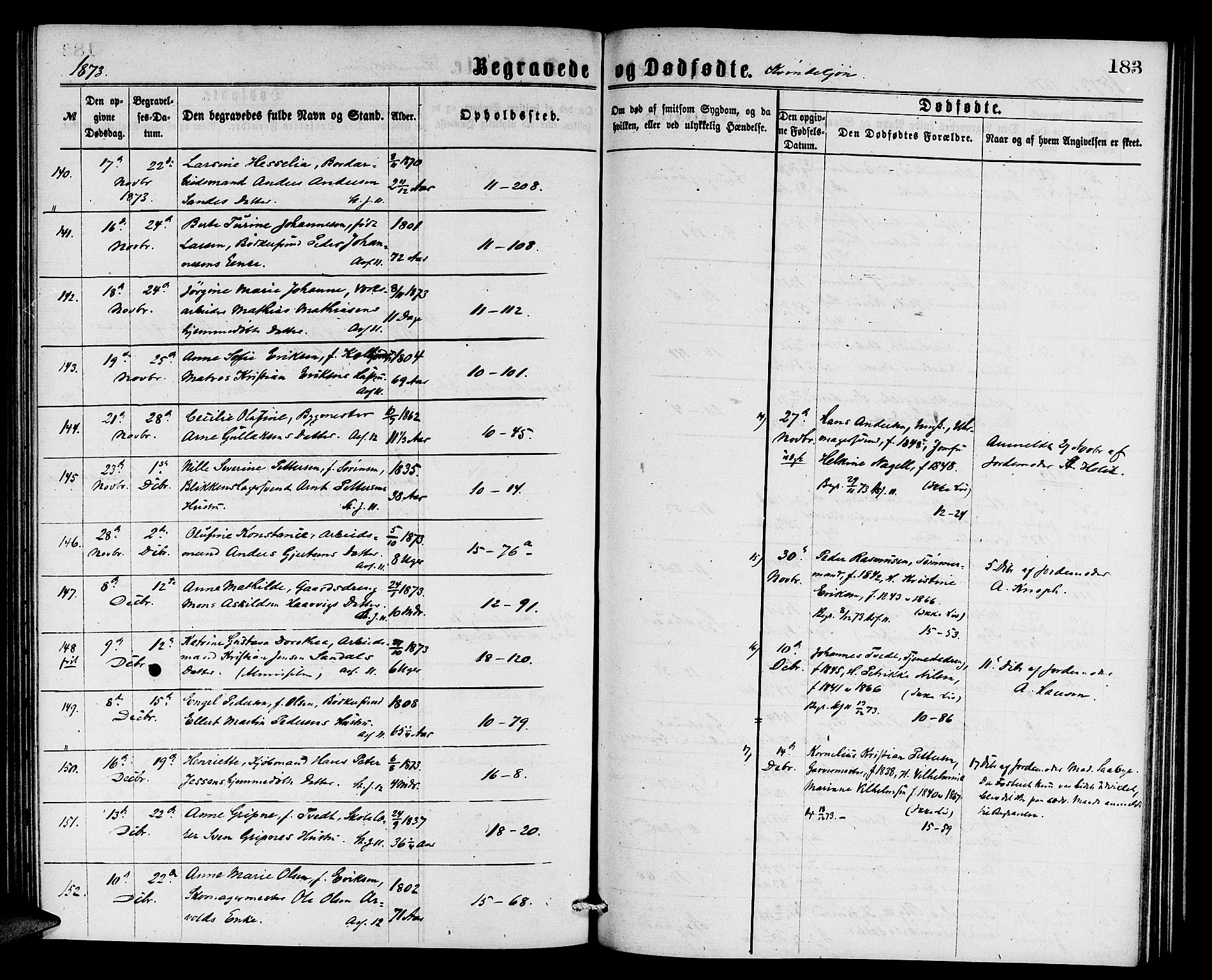 Domkirken sokneprestembete, AV/SAB-A-74801/H/Hab/L0040: Parish register (copy) no. E 4, 1868-1877, p. 183