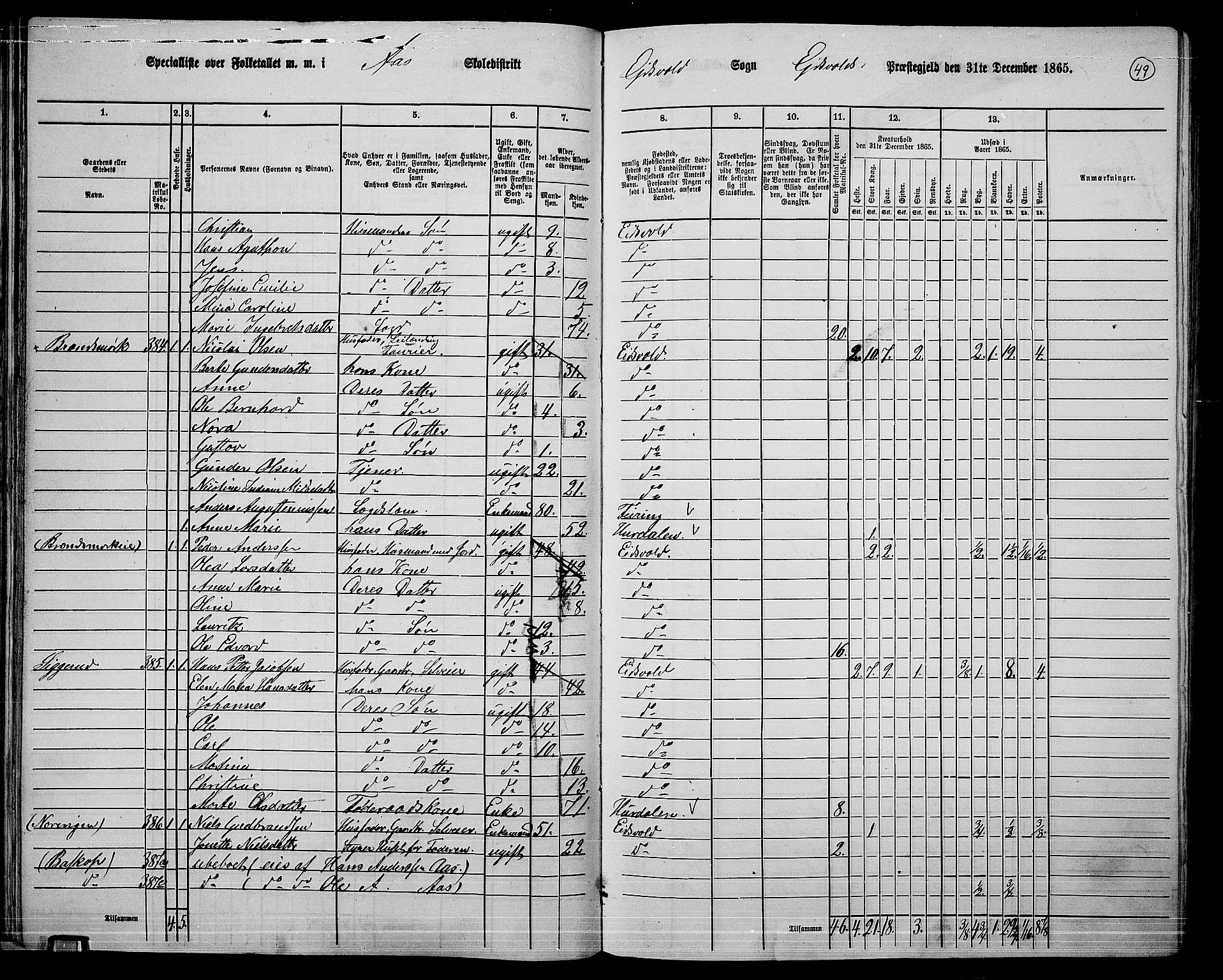 RA, 1865 census for Eidsvoll, 1865, p. 42