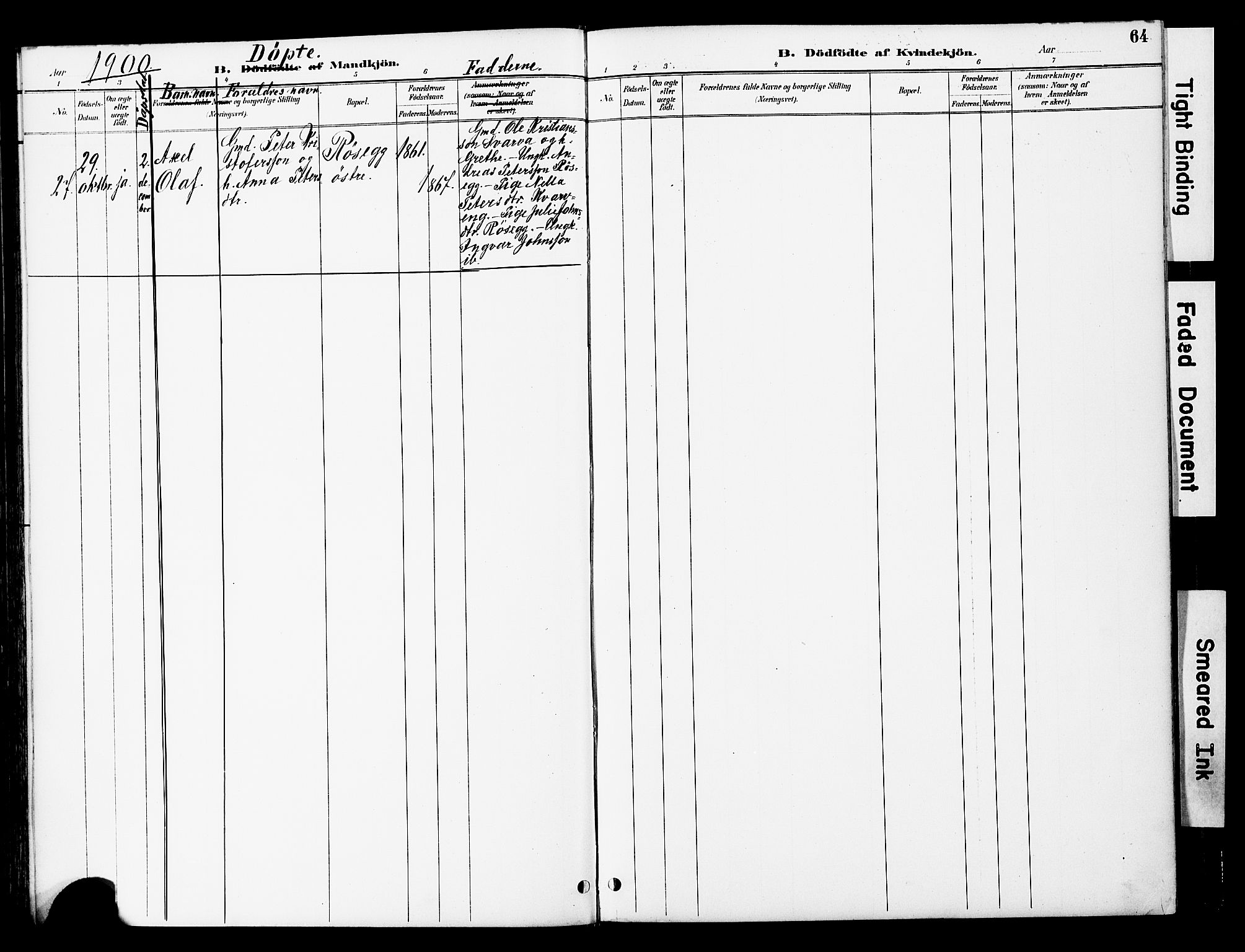 Ministerialprotokoller, klokkerbøker og fødselsregistre - Nord-Trøndelag, AV/SAT-A-1458/741/L0396: Parish register (official) no. 741A10, 1889-1901, p. 64