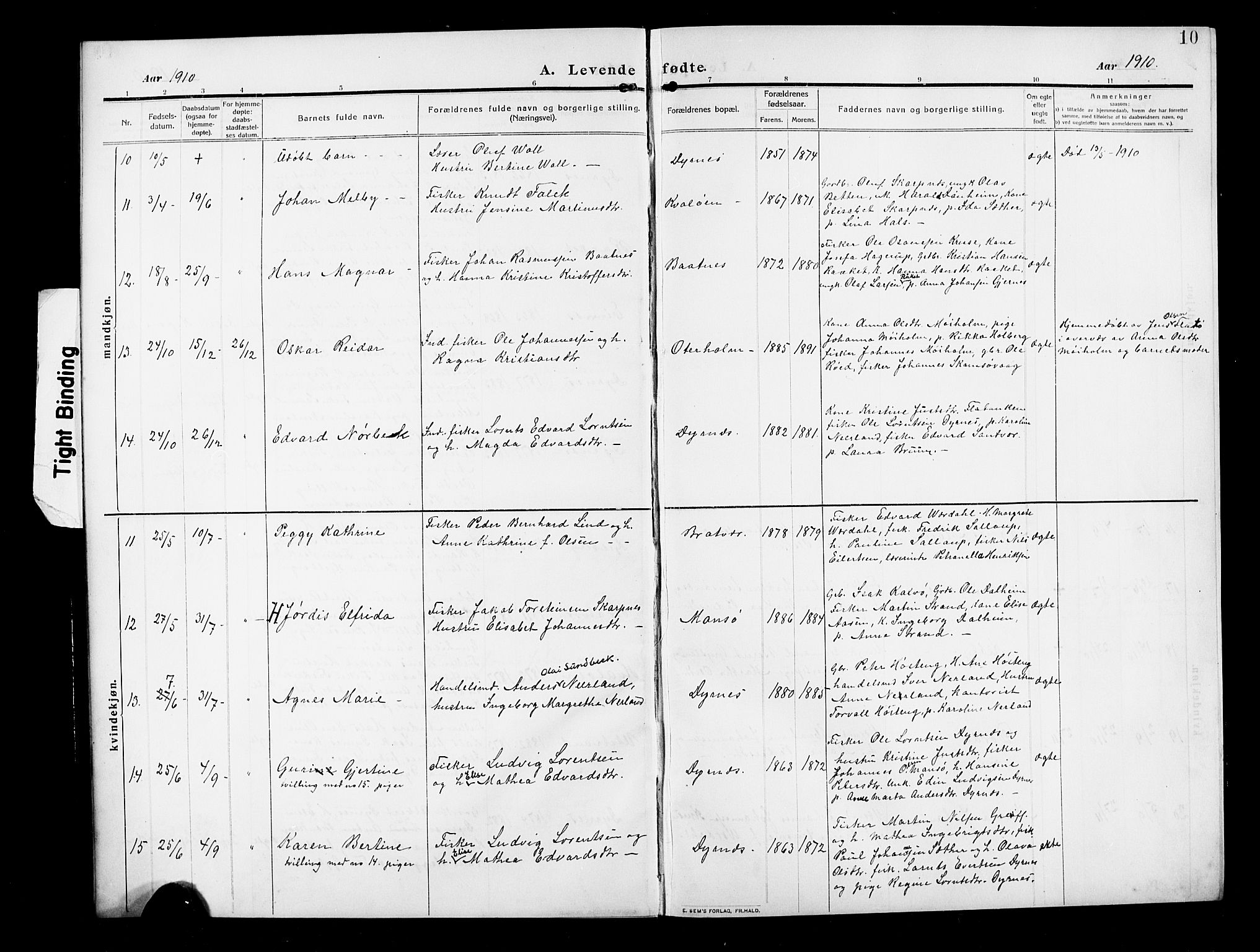 Ministerialprotokoller, klokkerbøker og fødselsregistre - Møre og Romsdal, AV/SAT-A-1454/582/L0949: Parish register (copy) no. 582C01, 1909-1925, p. 10