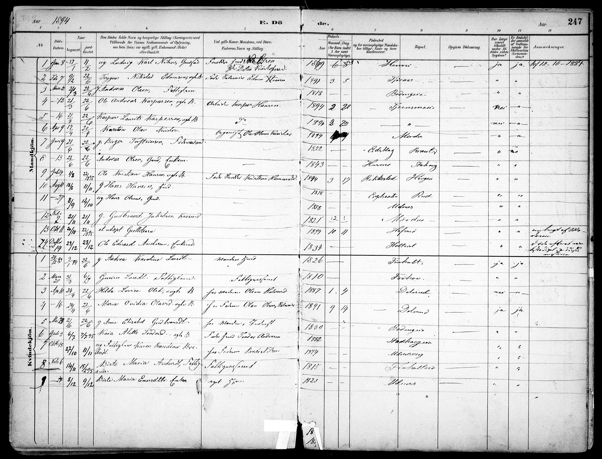 Nes prestekontor Kirkebøker, SAO/A-10410/F/Fc/L0002: Parish register (official) no. IIi 2, 1882-1916, p. 247