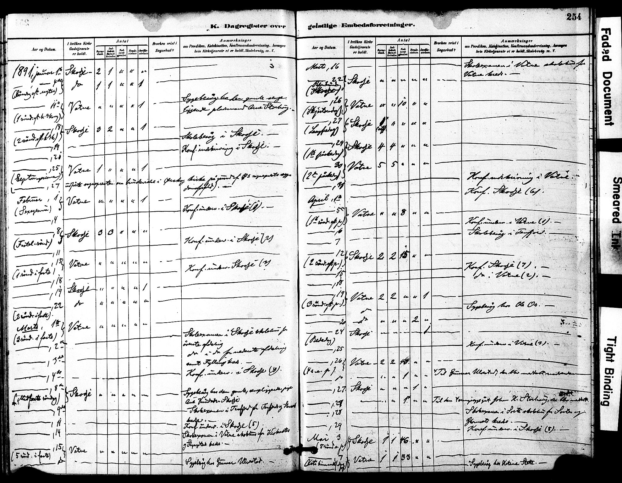 Ministerialprotokoller, klokkerbøker og fødselsregistre - Møre og Romsdal, AV/SAT-A-1454/525/L0374: Parish register (official) no. 525A04, 1880-1899, p. 254