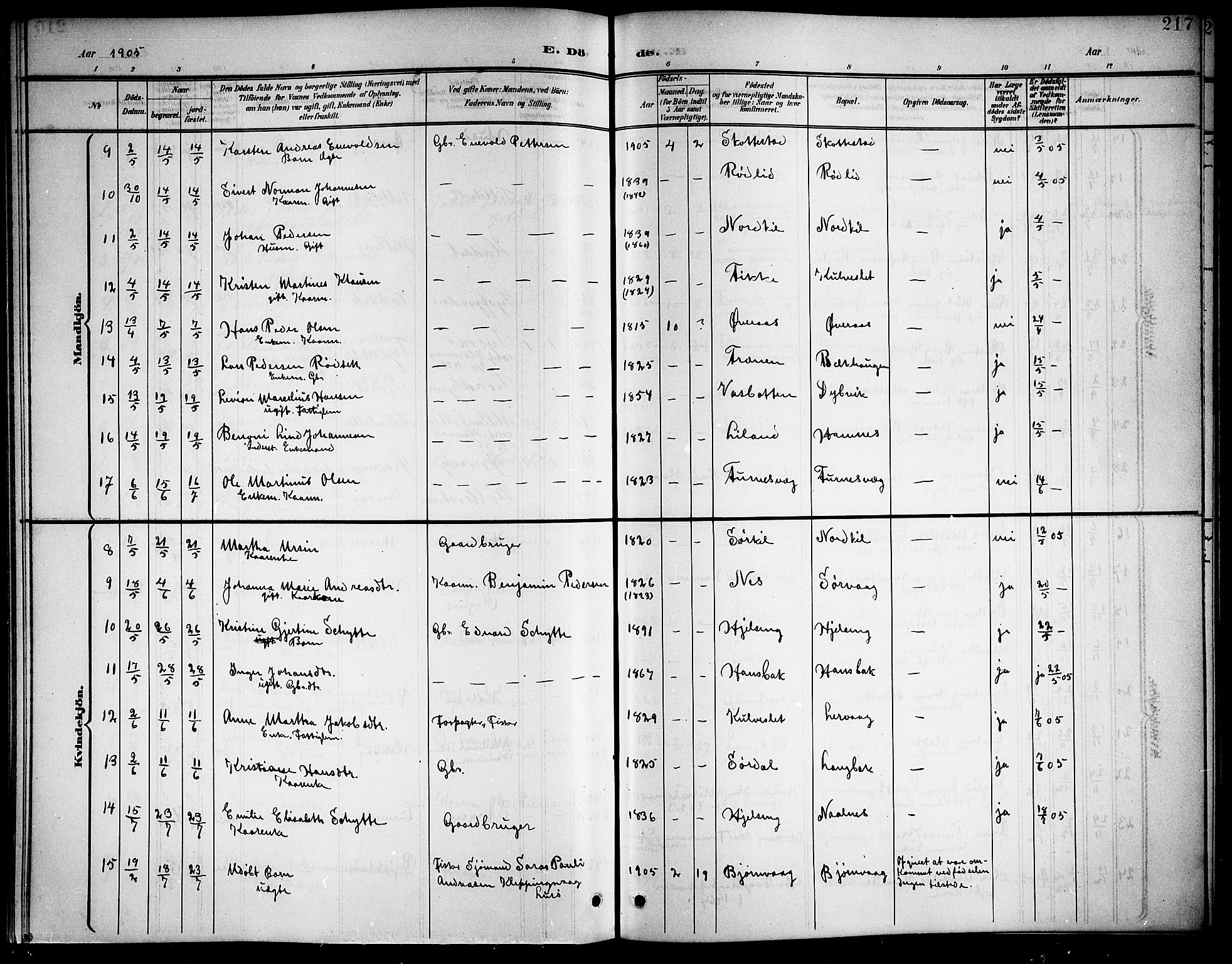 Ministerialprotokoller, klokkerbøker og fødselsregistre - Nordland, AV/SAT-A-1459/859/L0860: Parish register (copy) no. 859C06, 1899-1909, p. 217