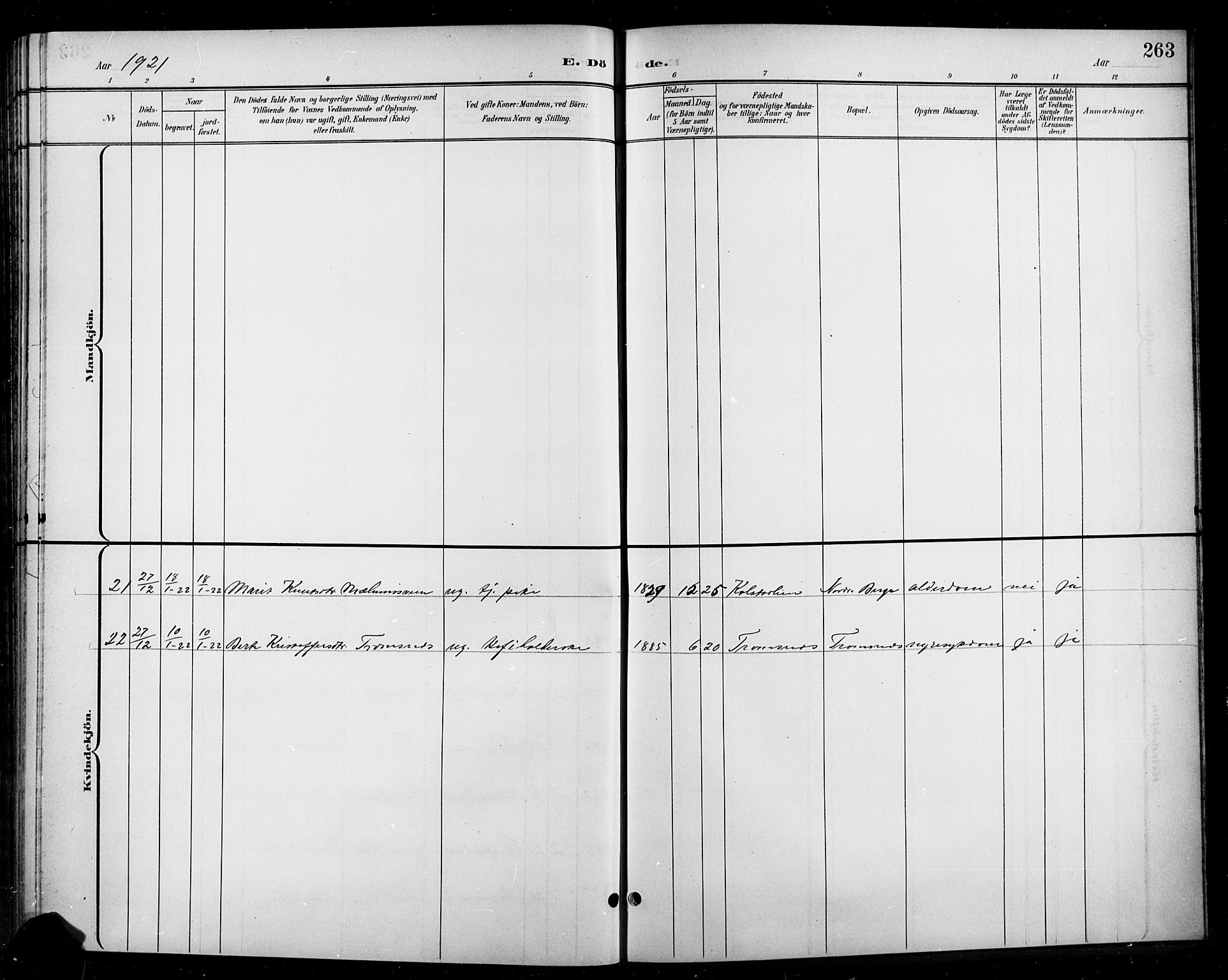 Ringebu prestekontor, AV/SAH-PREST-082/H/Ha/Hab/L0009: Parish register (copy) no. 9, 1899-1921, p. 263