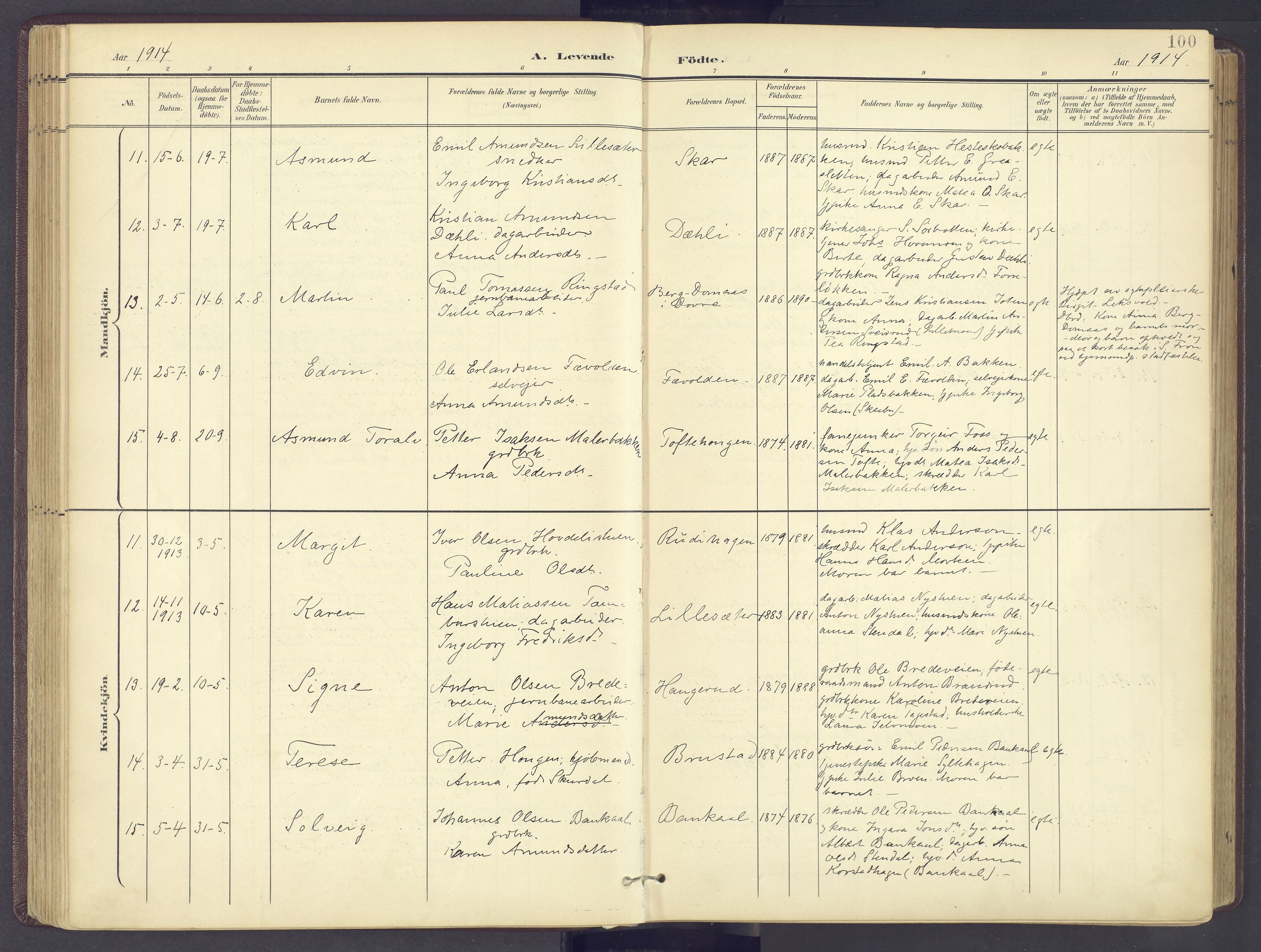 Sør-Fron prestekontor, AV/SAH-PREST-010/H/Ha/Haa/L0004: Parish register (official) no. 4, 1898-1919, p. 100