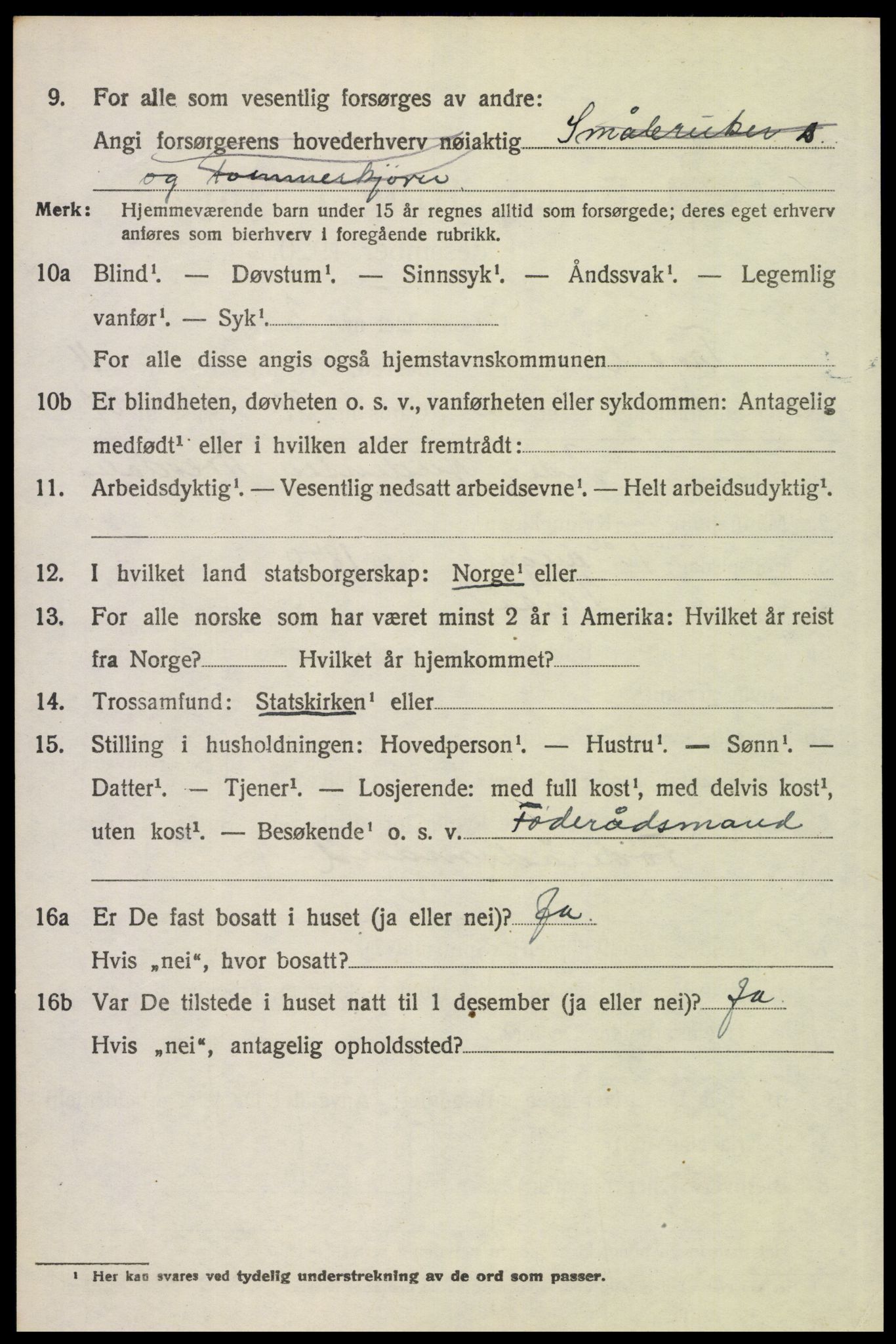 SAH, 1920 census for Trysil, 1920, p. 6982