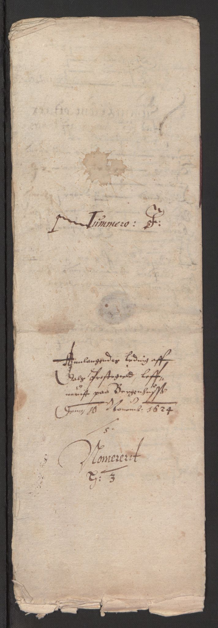 Stattholderembetet 1572-1771, RA/EA-2870/Ek/L0003/0001: Jordebøker til utlikning av garnisonsskatt 1624-1626: / Jordebøker for Bergenhus len, 1624-1625, p. 190