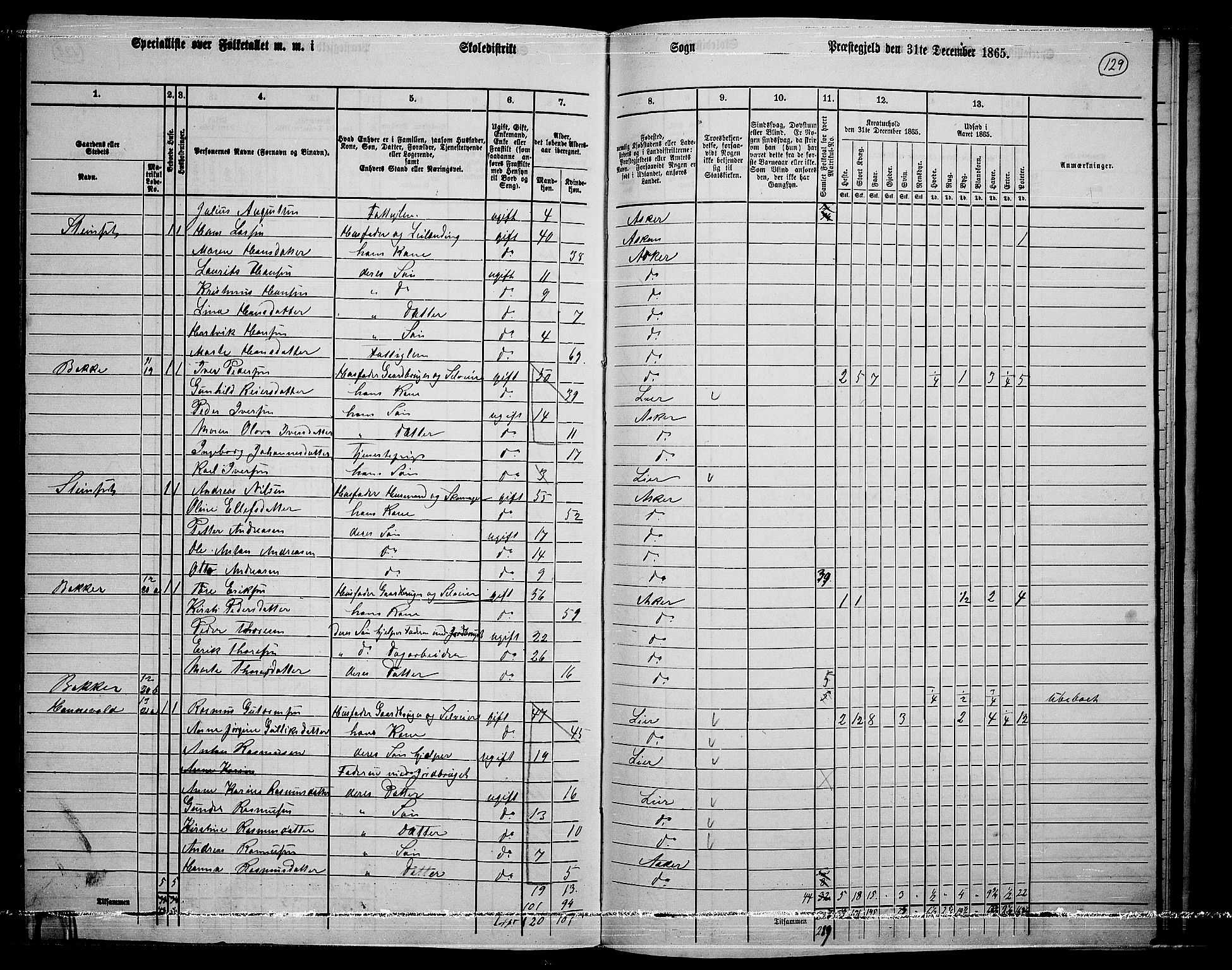 RA, 1865 census for Asker, 1865, p. 125