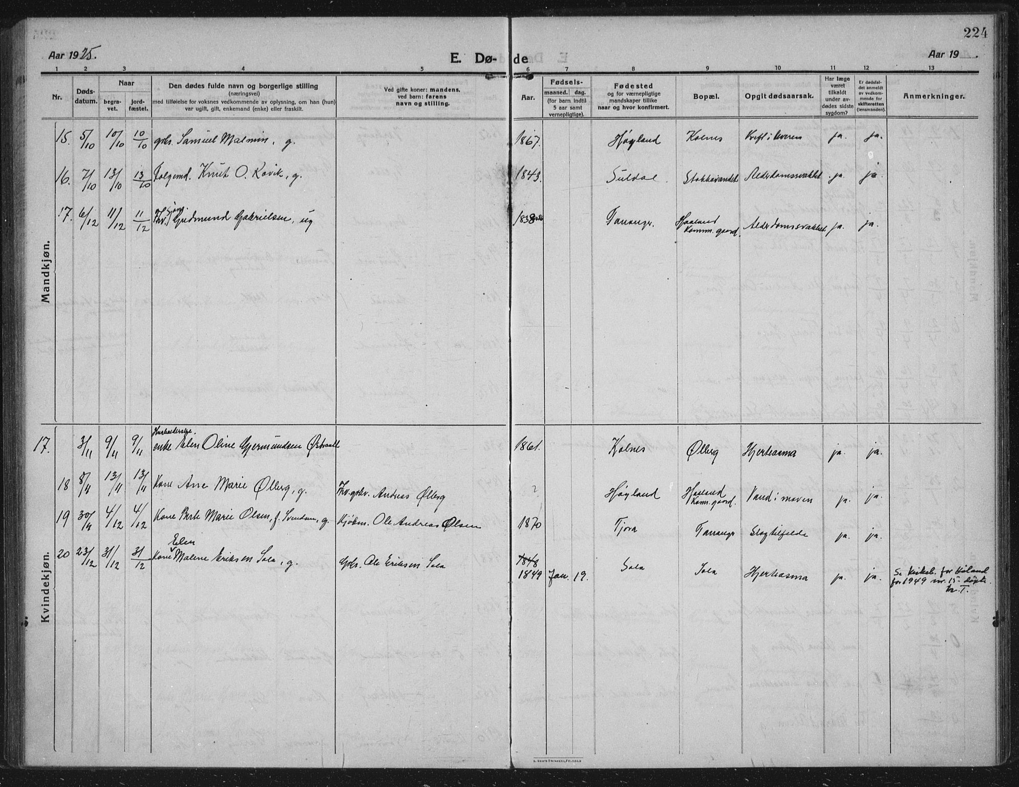 Håland sokneprestkontor, AV/SAST-A-101802/002/C/L0001: Parish register (official) no. A 14, 1913-1927, p. 224