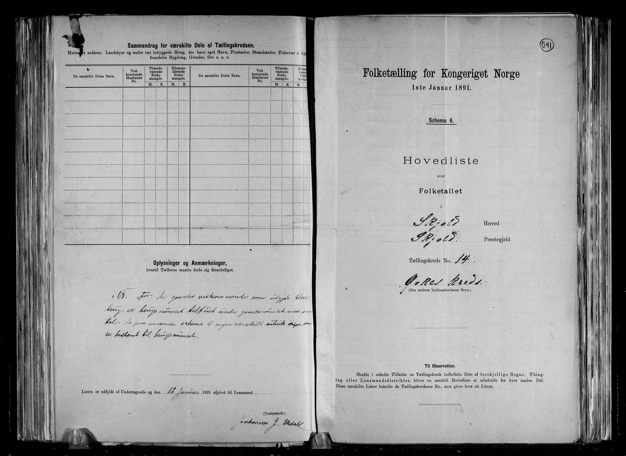 RA, 1891 census for 1154 Skjold, 1891, p. 31