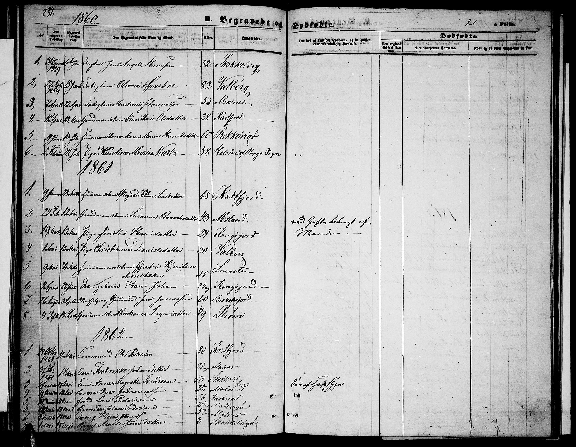 Ministerialprotokoller, klokkerbøker og fødselsregistre - Nordland, SAT/A-1459/884/L1196: Parish register (copy) no. 884C02, 1860-1887, p. 256