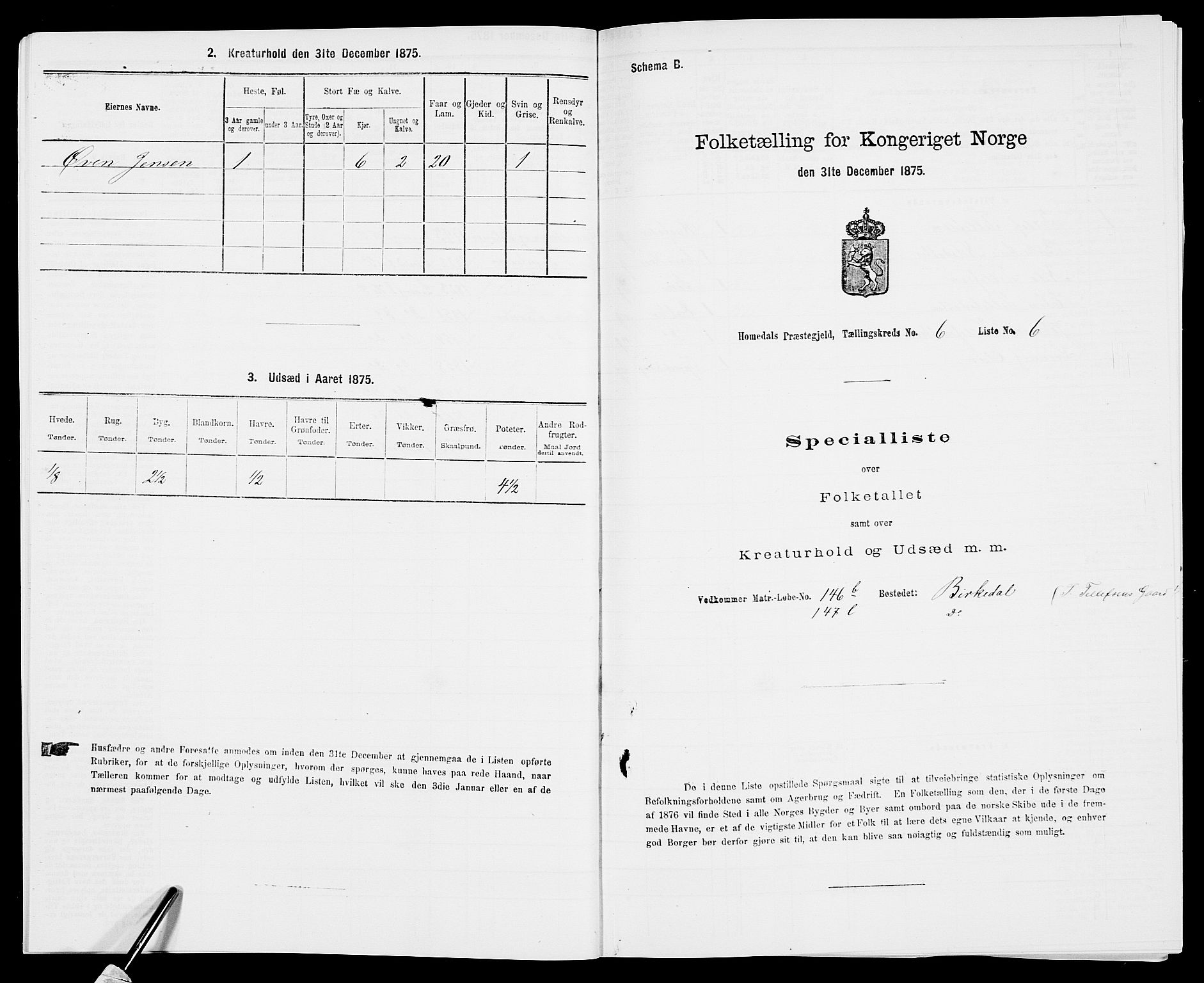 SAK, 1875 census for 0924P Homedal, 1875, p. 1048