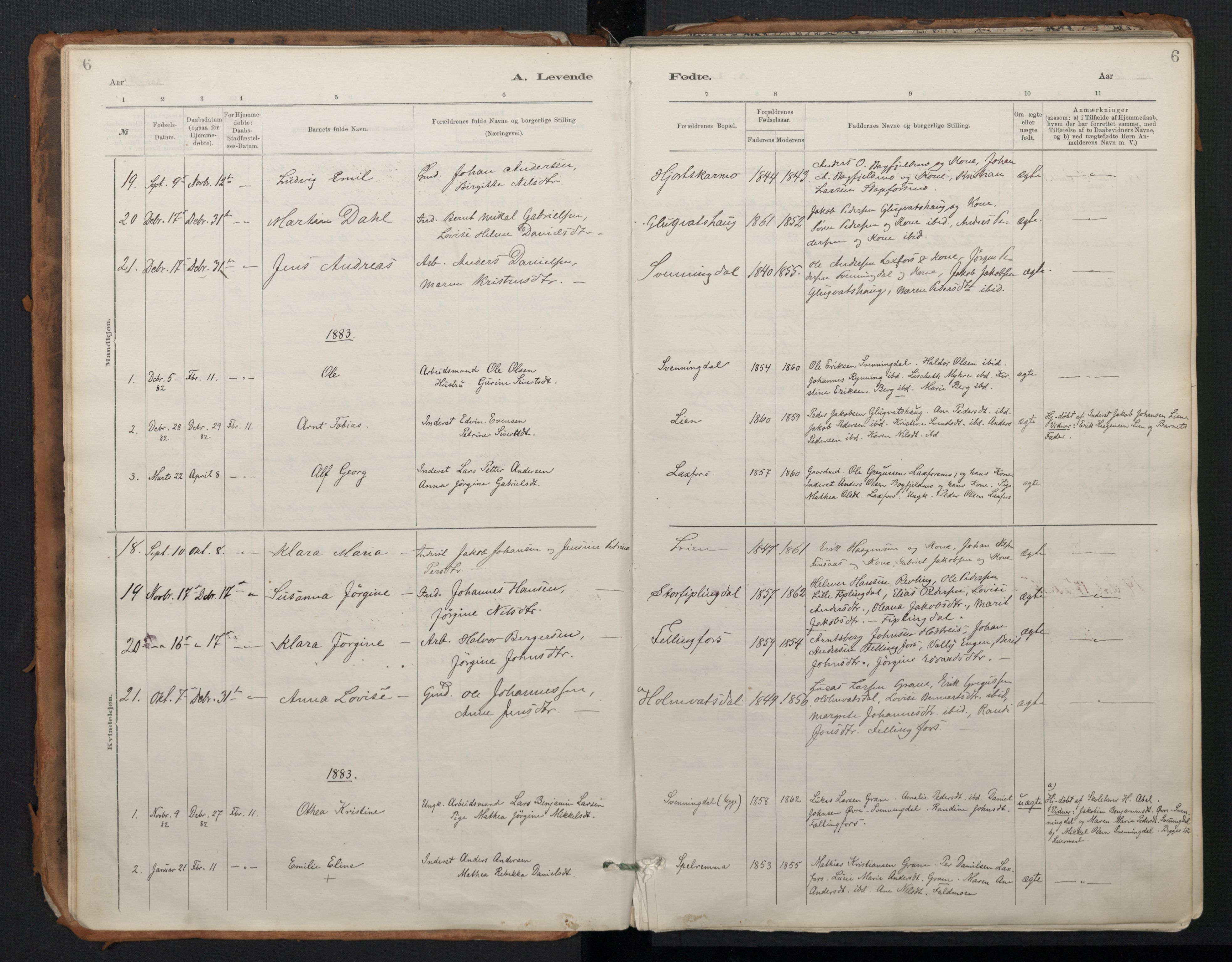 Ministerialprotokoller, klokkerbøker og fødselsregistre - Nordland, SAT/A-1459/824/L0338: Parish register (official) no. 824A01, 1880-1915, p. 6