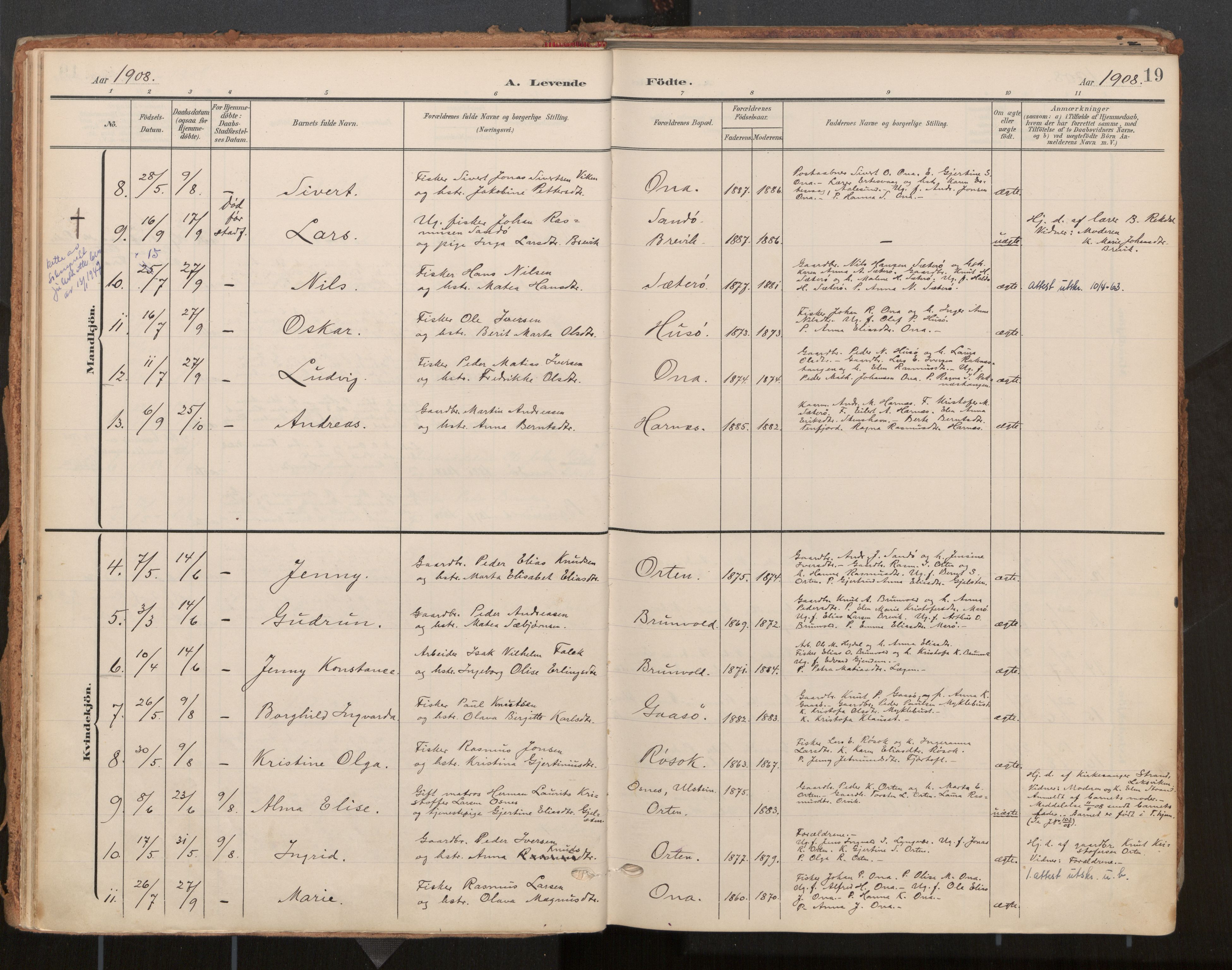 Ministerialprotokoller, klokkerbøker og fødselsregistre - Møre og Romsdal, AV/SAT-A-1454/561/L0730: Parish register (official) no. 561A04, 1901-1929, p. 19