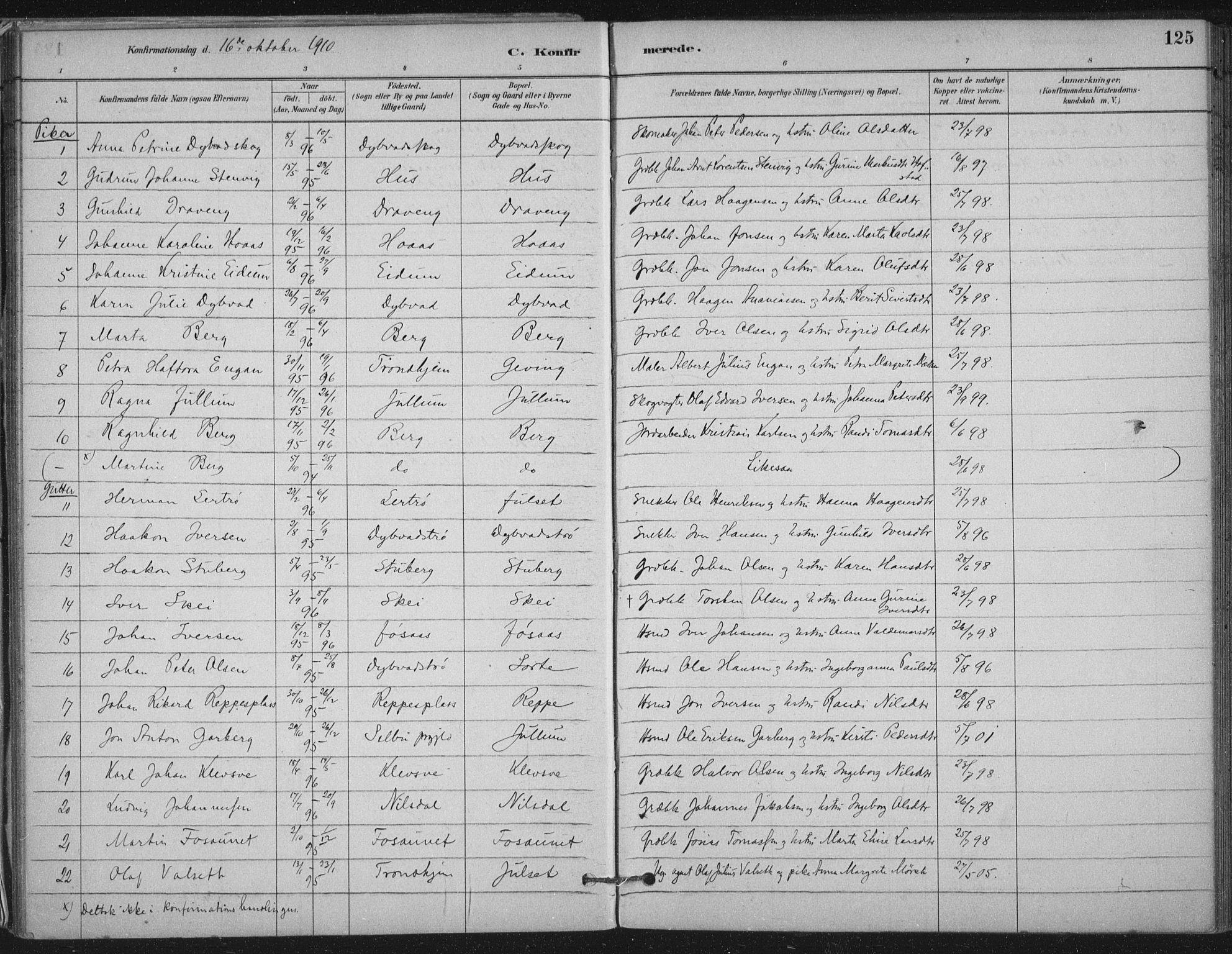 Ministerialprotokoller, klokkerbøker og fødselsregistre - Nord-Trøndelag, AV/SAT-A-1458/710/L0095: Parish register (official) no. 710A01, 1880-1914, p. 125