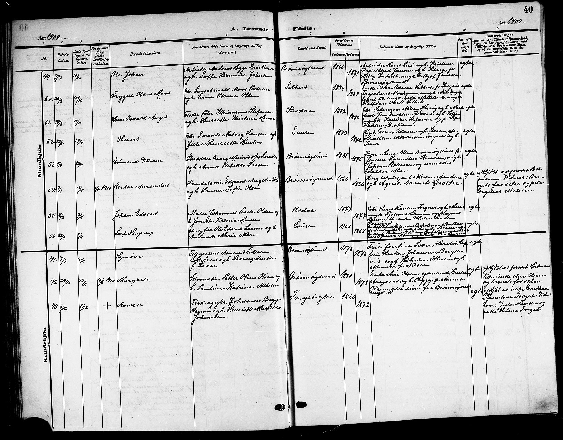Ministerialprotokoller, klokkerbøker og fødselsregistre - Nordland, SAT/A-1459/813/L0214: Parish register (copy) no. 813C06, 1904-1917, p. 40