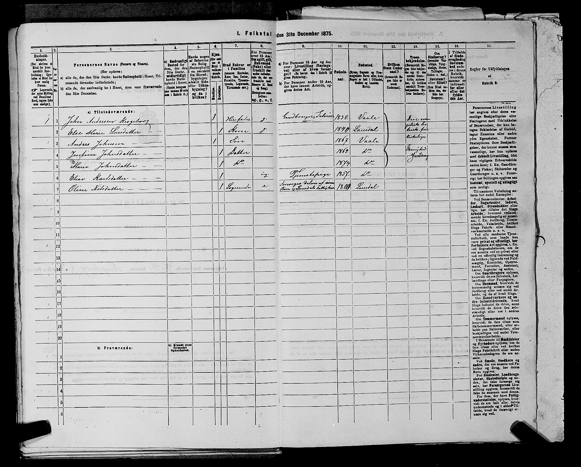 SAKO, 1875 census for 0716P Våle, 1875, p. 217