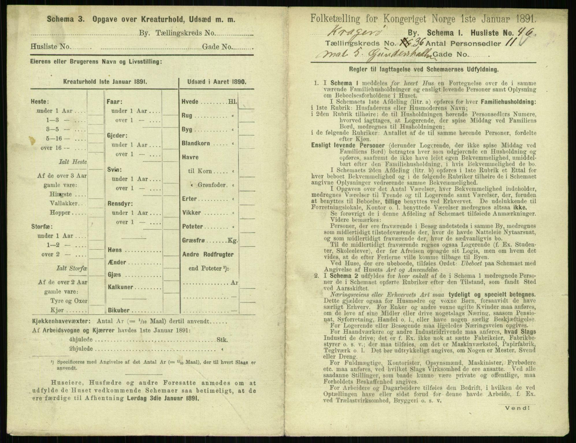 RA, 1891 census for 0801 Kragerø, 1891, p. 1442