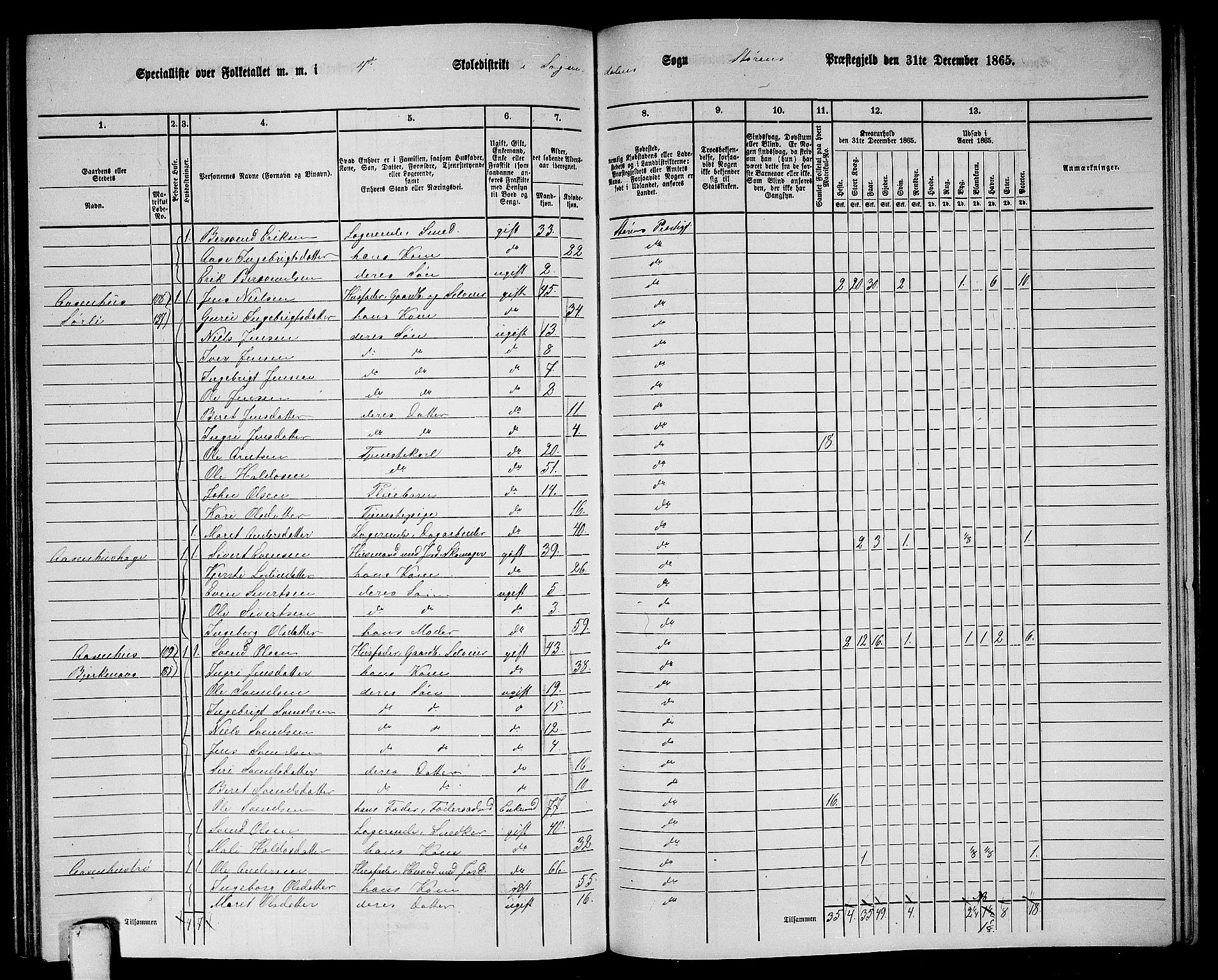 RA, 1865 census for Støren, 1865, p. 274