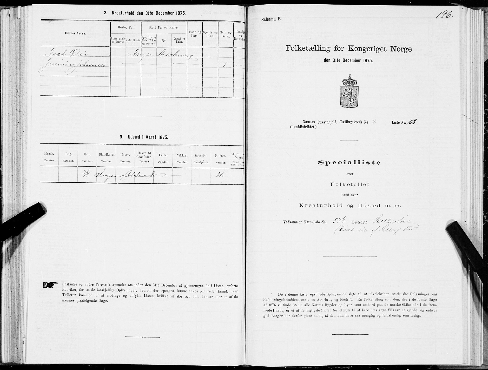 SAT, 1875 census for 1745L Namsos/Vemundvik og Sævik, 1875, p. 2196