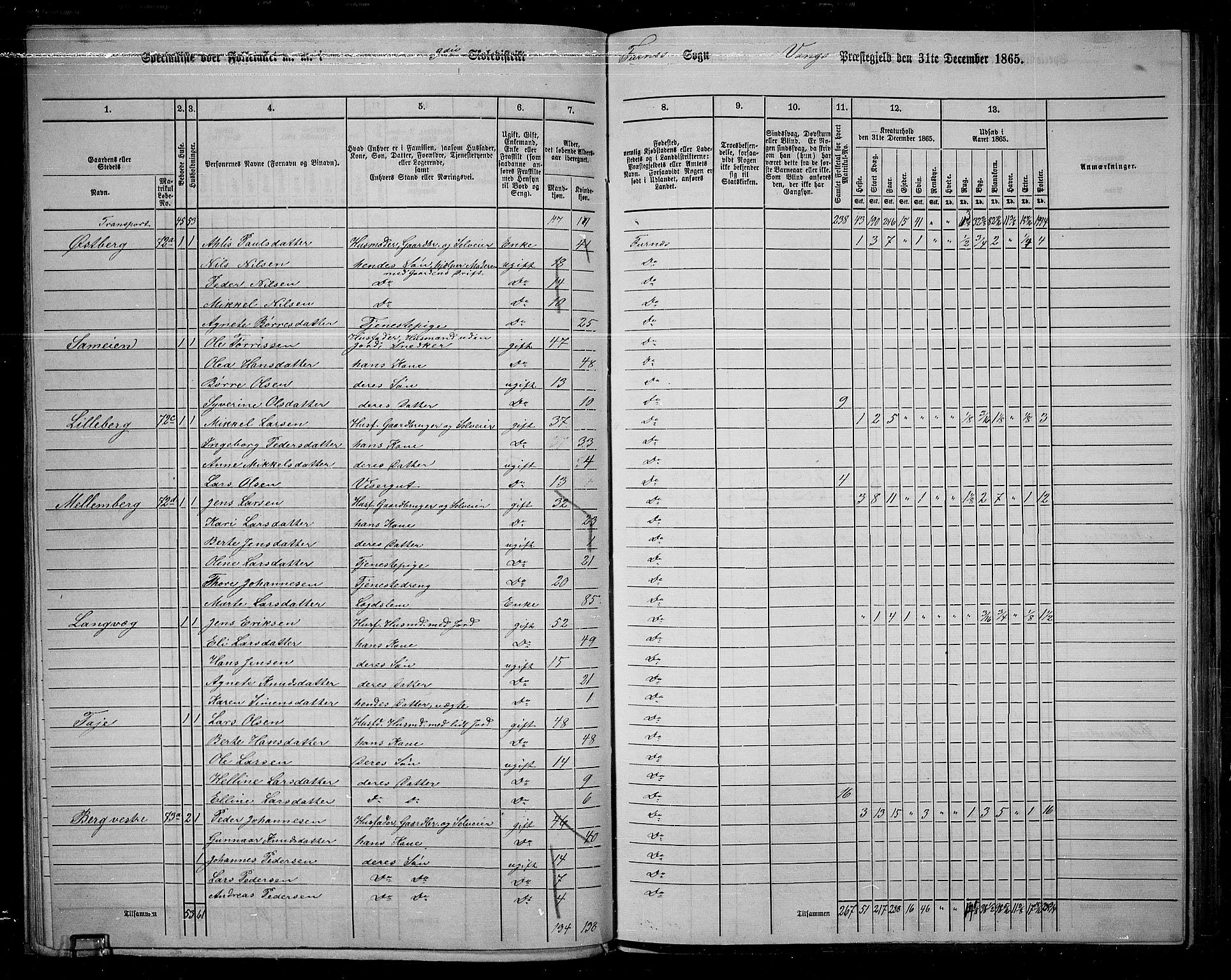 RA, 1865 census for Vang/Vang og Furnes, 1865, p. 76