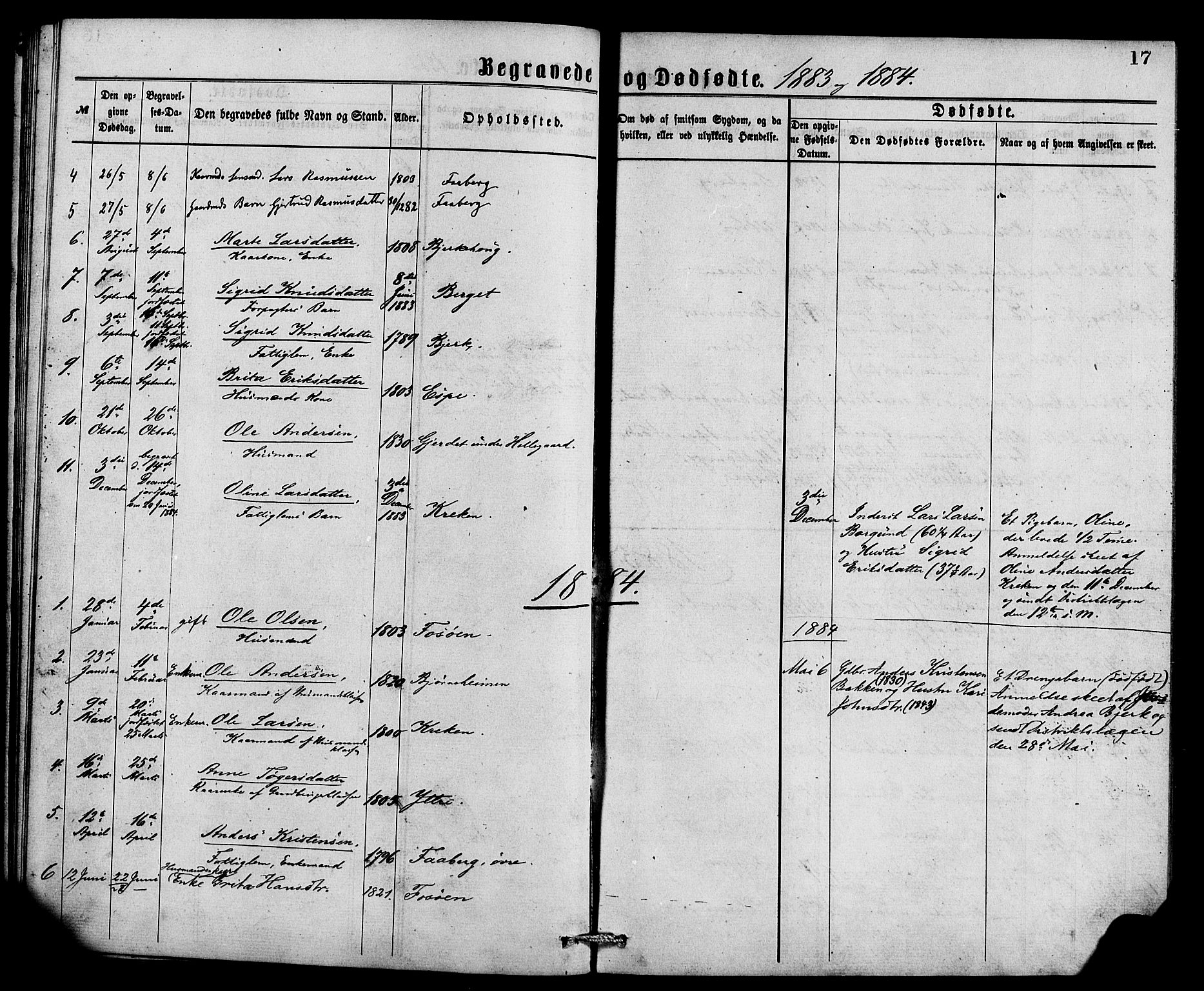 Jostedal sokneprestembete, AV/SAB-A-80601/H/Haa/Haaa/L0009: Parish register (official) no. A 9, 1876-1886, p. 17