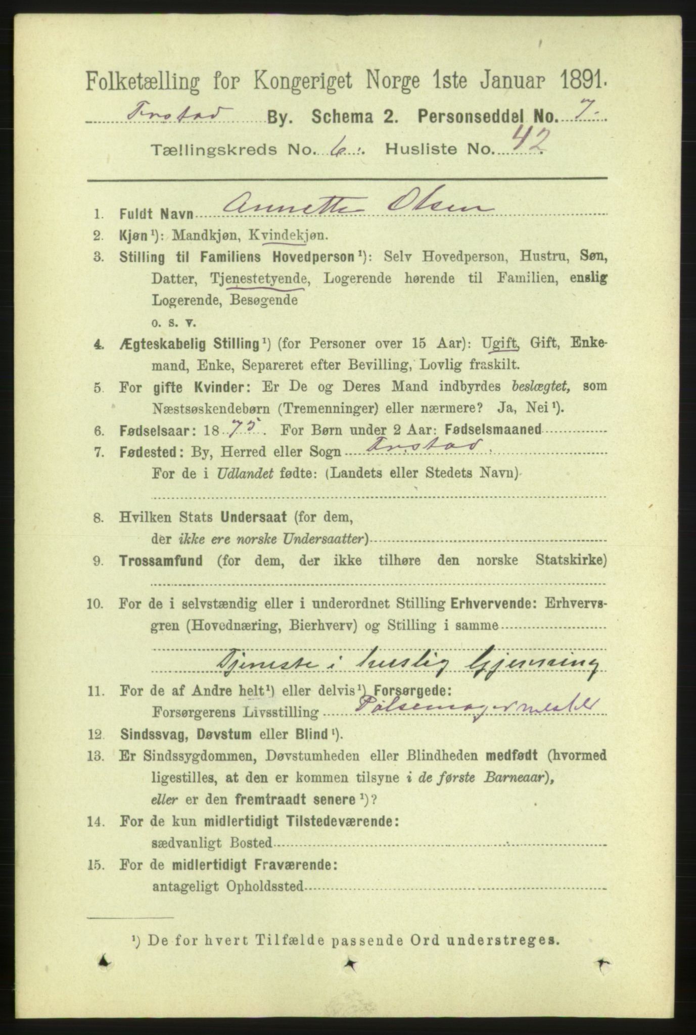 RA, 1891 census for 0103 Fredrikstad, 1891, p. 8023