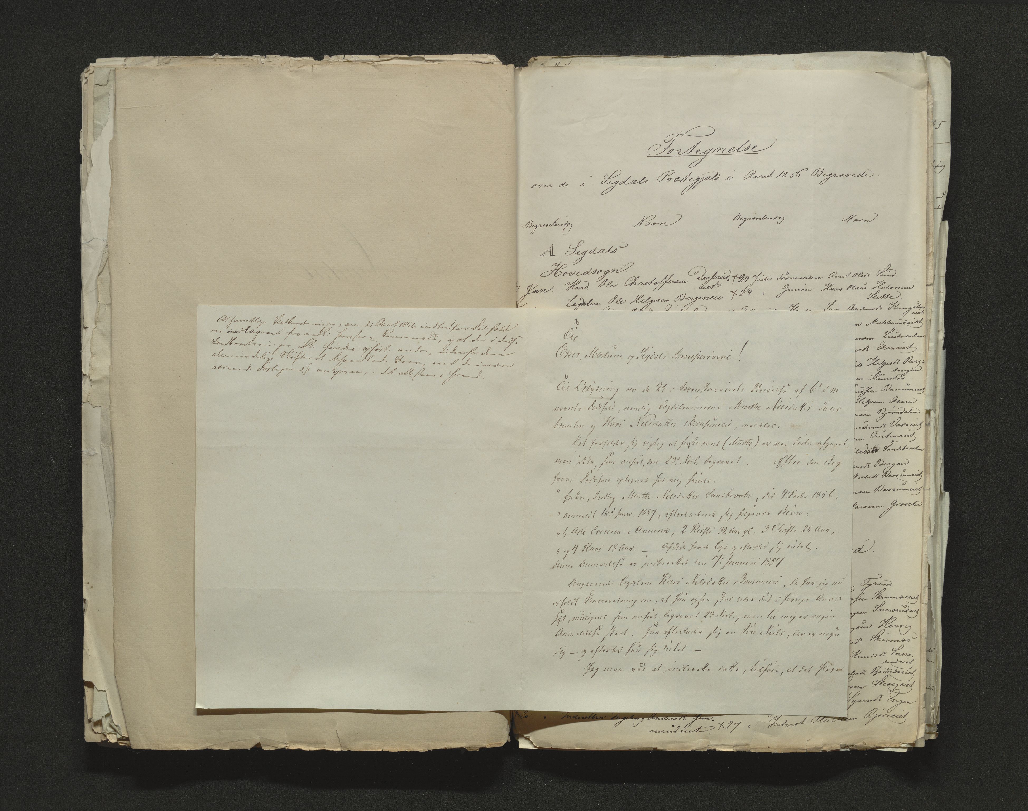 Eiker, Modum og Sigdal sorenskriveri, AV/SAKO-A-123/H/Ha/Hab/L0009: Dødsfallsmeldinger, 1854-1857, p. 331