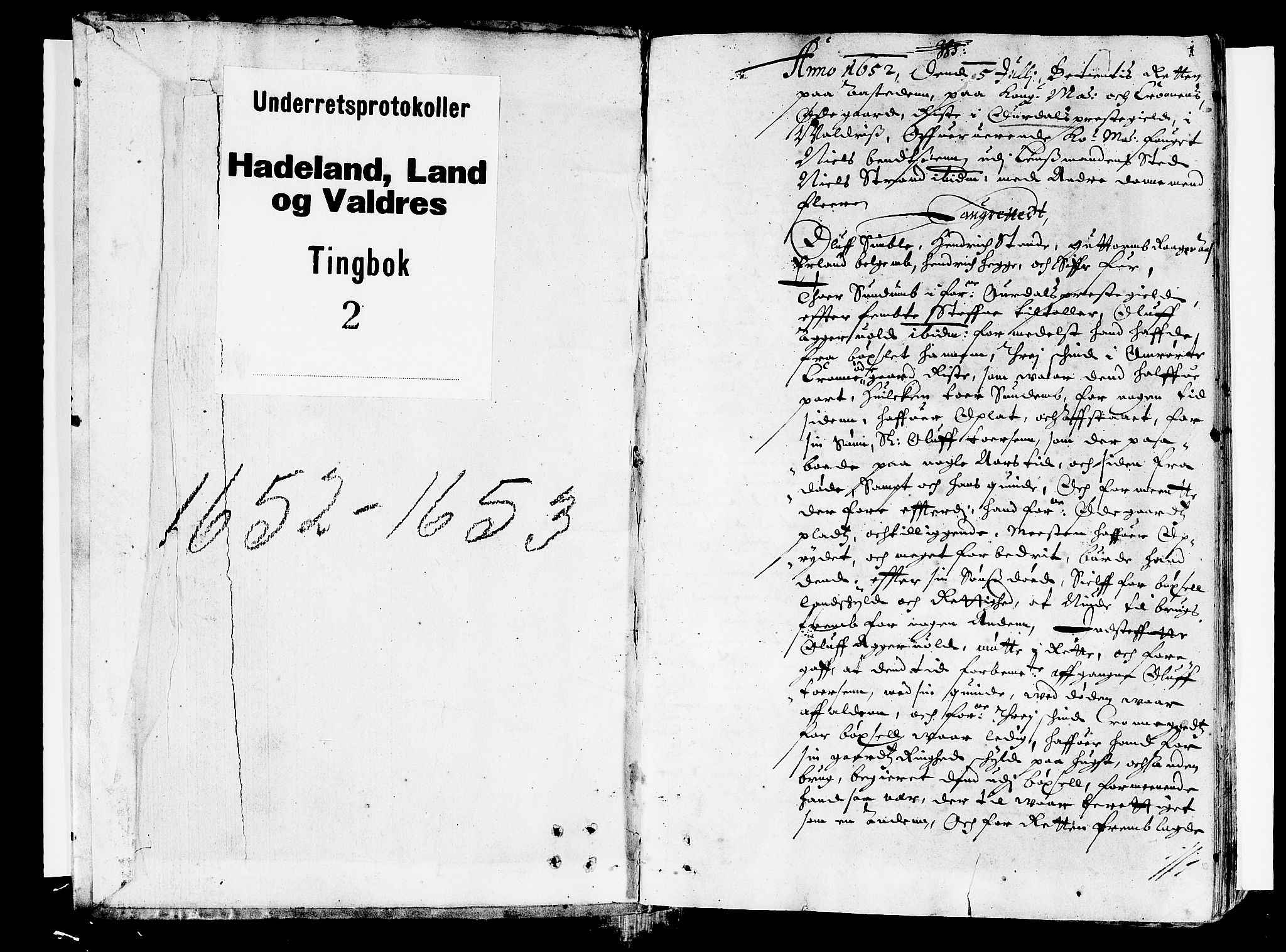 Hadeland, Land og Valdres sorenskriveri, AV/SAH-TING-028/G/Gb/L0002: Tingbok, 1652-1653, p. 0b-1a