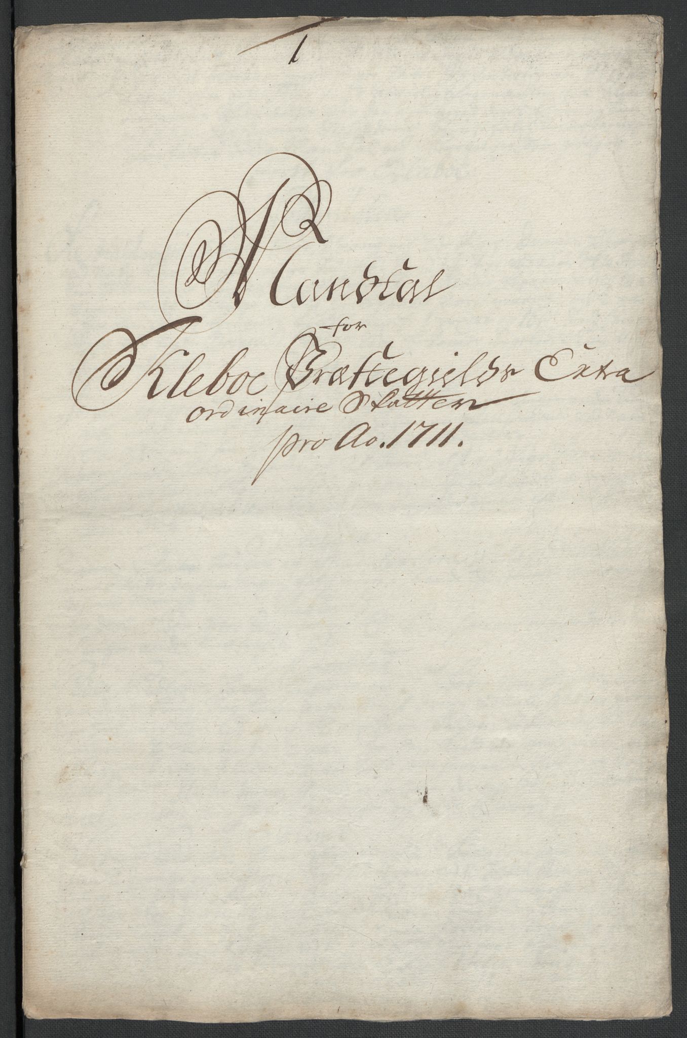 Rentekammeret inntil 1814, Reviderte regnskaper, Fogderegnskap, AV/RA-EA-4092/R61/L4112: Fogderegnskap Strinda og Selbu, 1711, p. 314