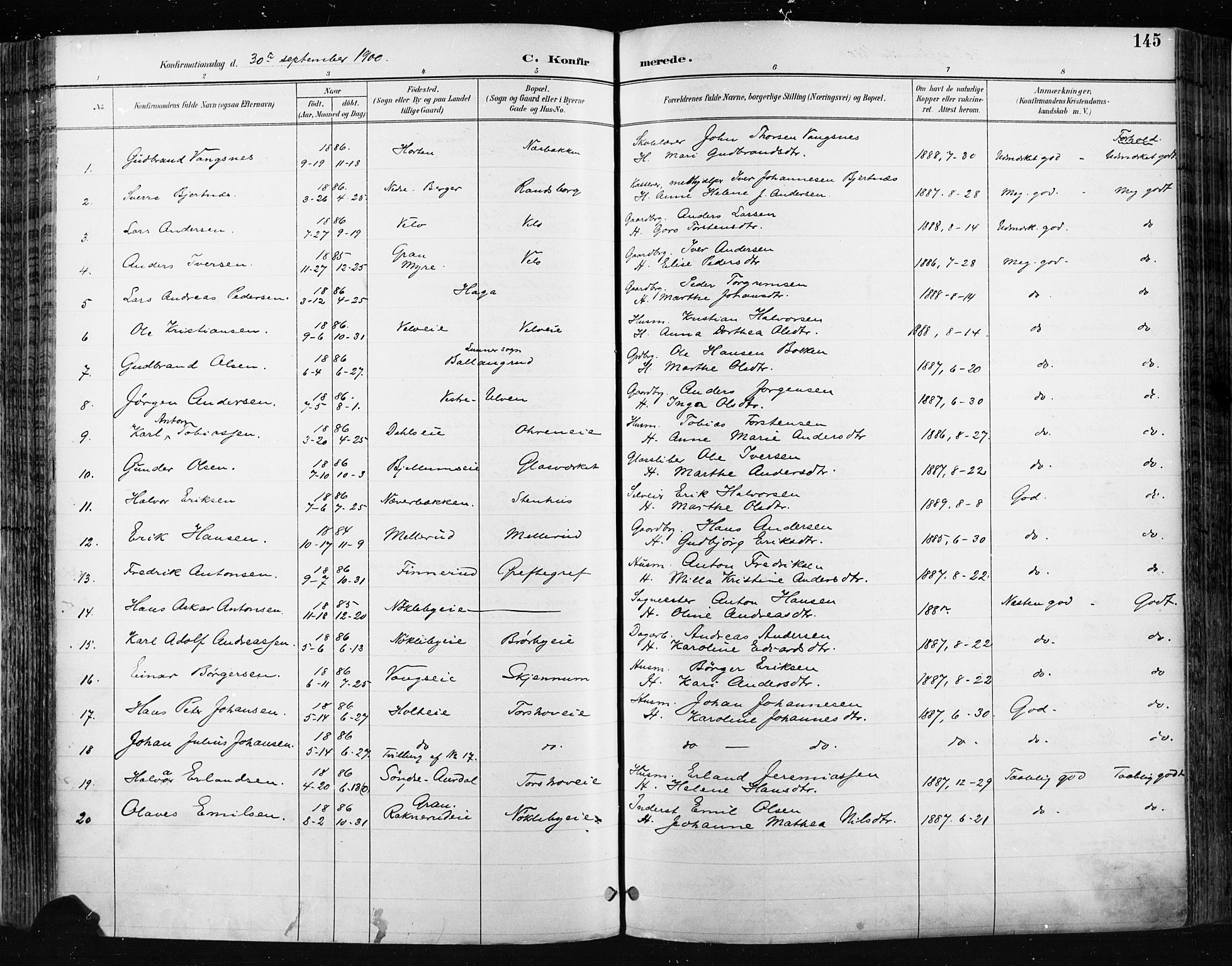 Jevnaker prestekontor, SAH/PREST-116/H/Ha/Haa/L0009: Parish register (official) no. 9, 1891-1901, p. 145
