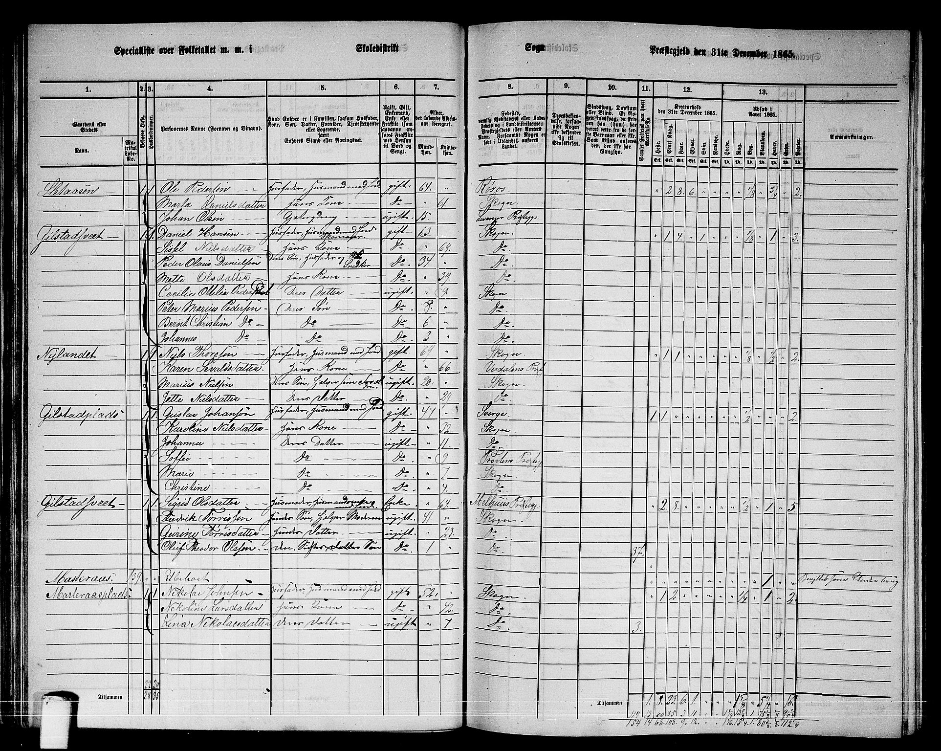 RA, 1865 census for Skogn, 1865, p. 54