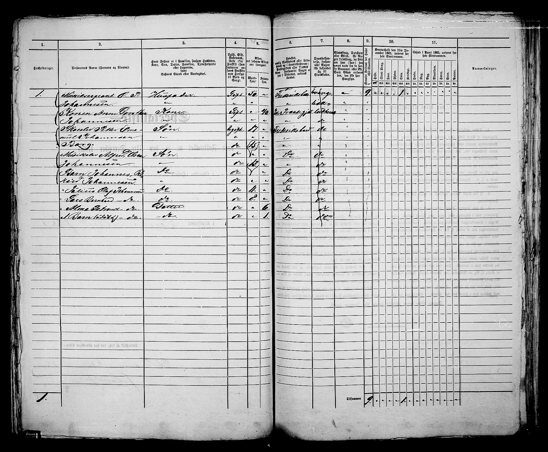 RA, 1865 census for Fredrikshald, 1865, p. 195