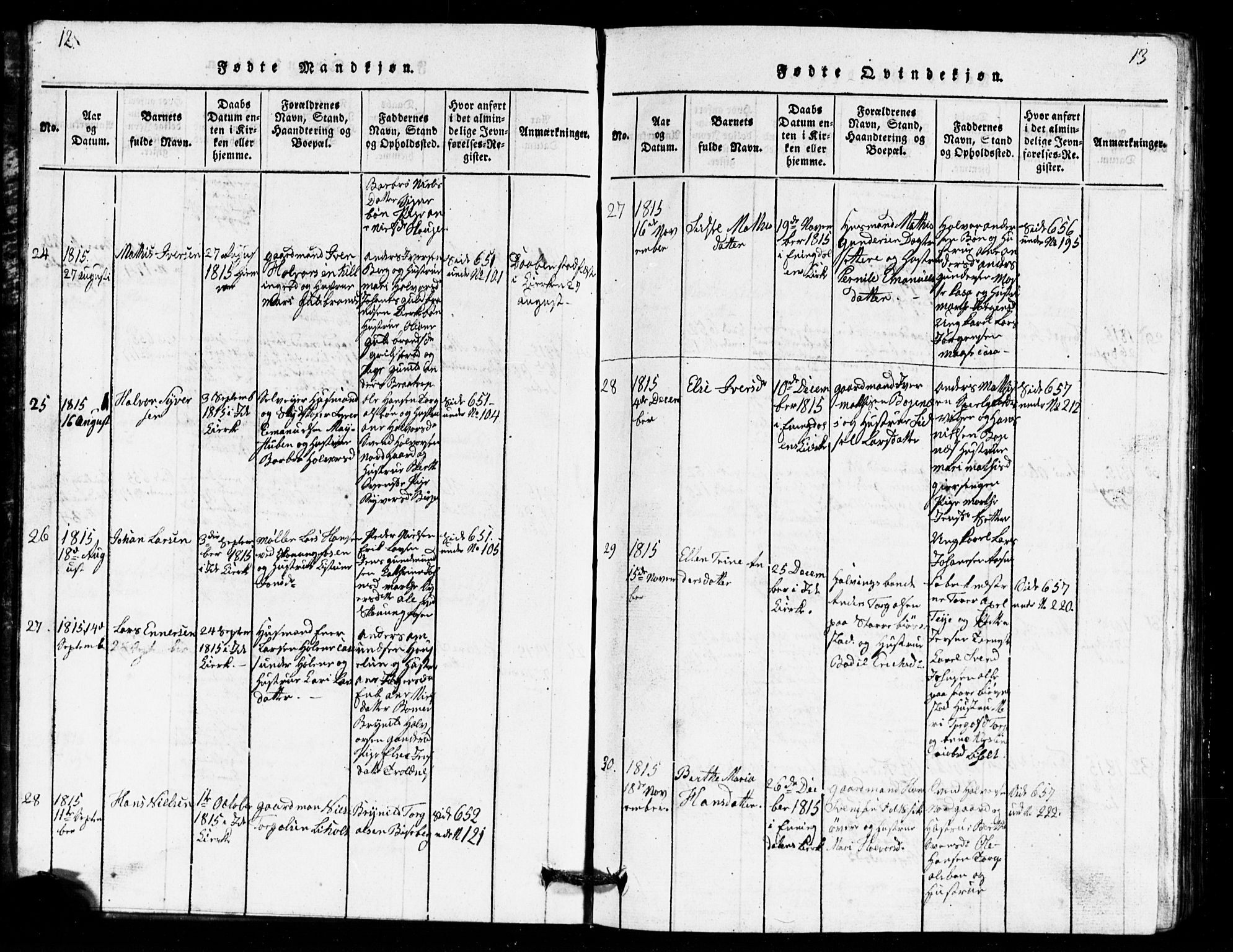 Idd prestekontor Kirkebøker, AV/SAO-A-10911/G/Ga/L0001: Parish register (copy) no. I 1, 1815-1826, p. 12-13