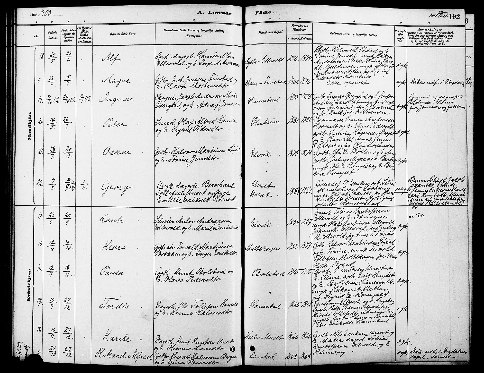 Rendalen prestekontor, AV/SAH-PREST-054/H/Ha/Hab/L0003: Parish register (copy) no. 3, 1879-1904, p. 102