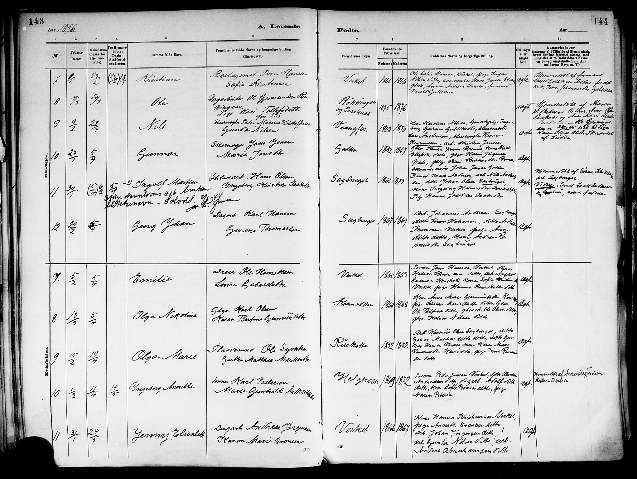 Holla kirkebøker, AV/SAKO-A-272/F/Fa/L0008: Parish register (official) no. 8, 1882-1897, p. 143