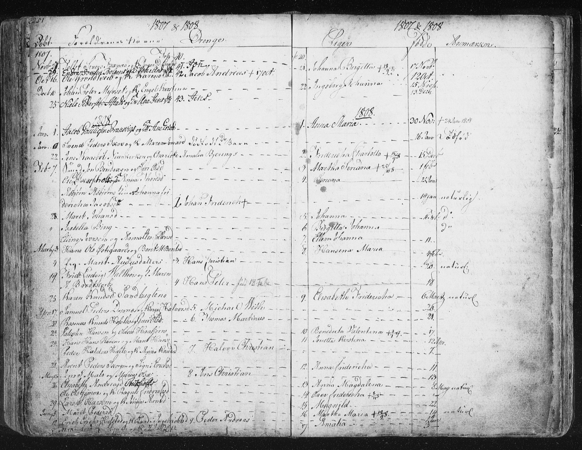 Ministerialprotokoller, klokkerbøker og fødselsregistre - Møre og Romsdal, SAT/A-1454/572/L0841: Parish register (official) no. 572A04, 1784-1819, p. 251