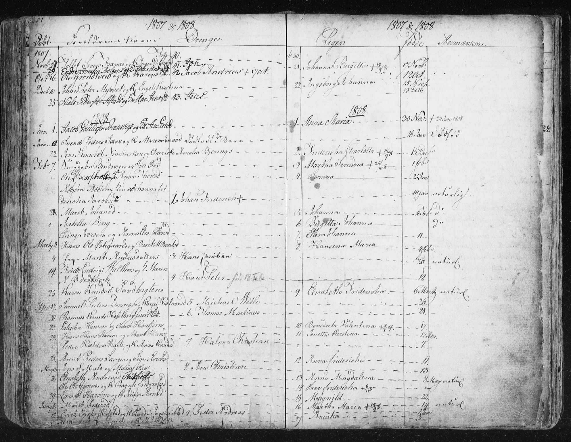 Ministerialprotokoller, klokkerbøker og fødselsregistre - Møre og Romsdal, AV/SAT-A-1454/572/L0841: Parish register (official) no. 572A04, 1784-1819, p. 251