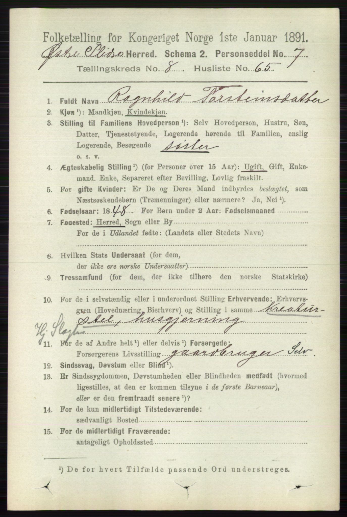 RA, 1891 census for 0544 Øystre Slidre, 1891, p. 2902