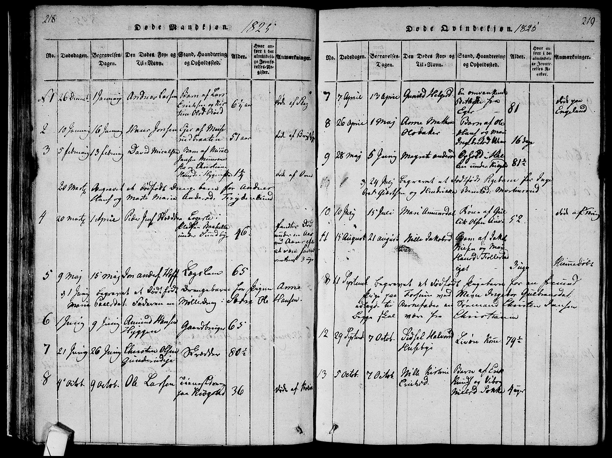 Røyken kirkebøker, SAKO/A-241/F/Fa/L0004: Parish register (official) no. 4, 1814-1832, p. 218-219