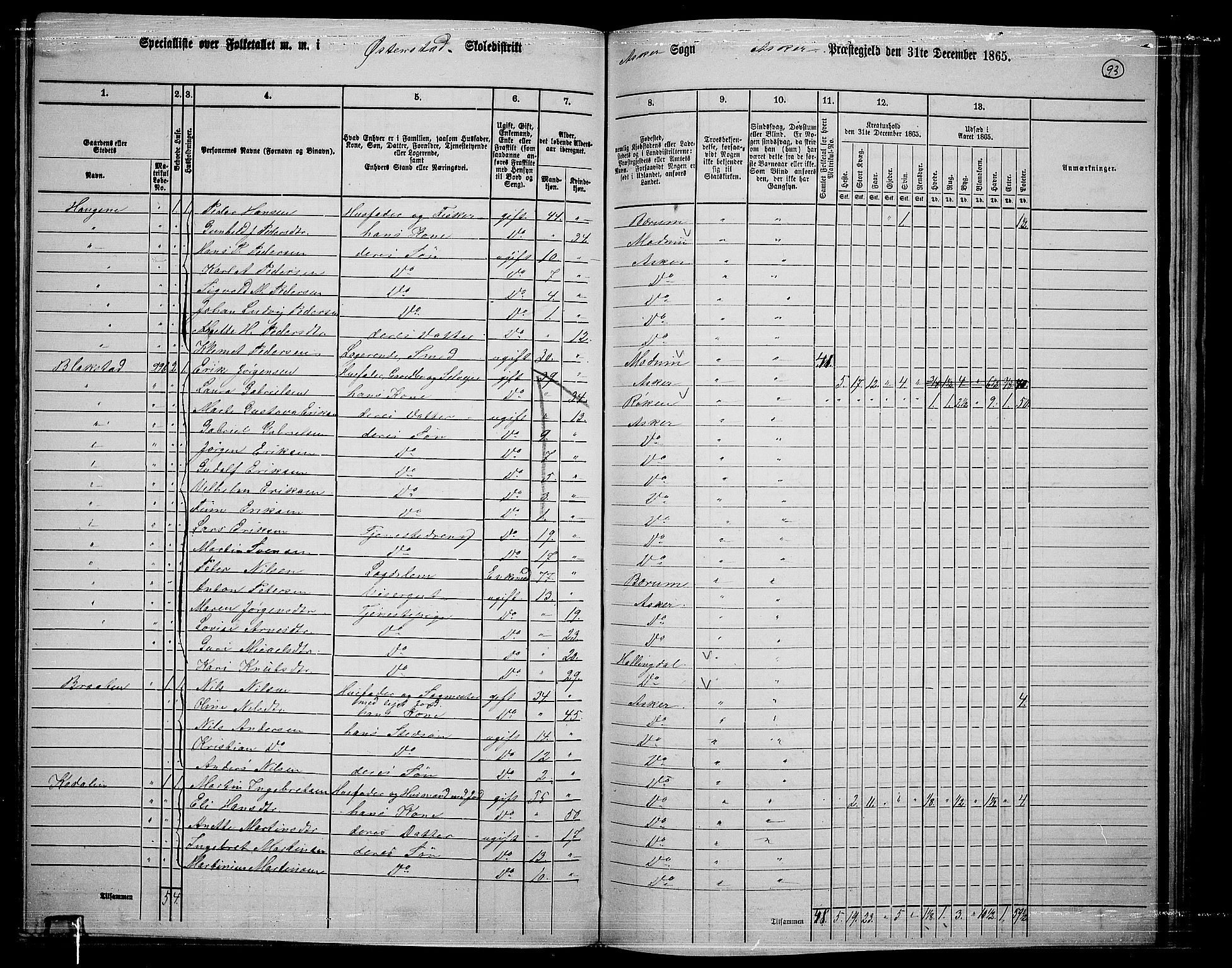 RA, 1865 census for Asker, 1865, p. 89