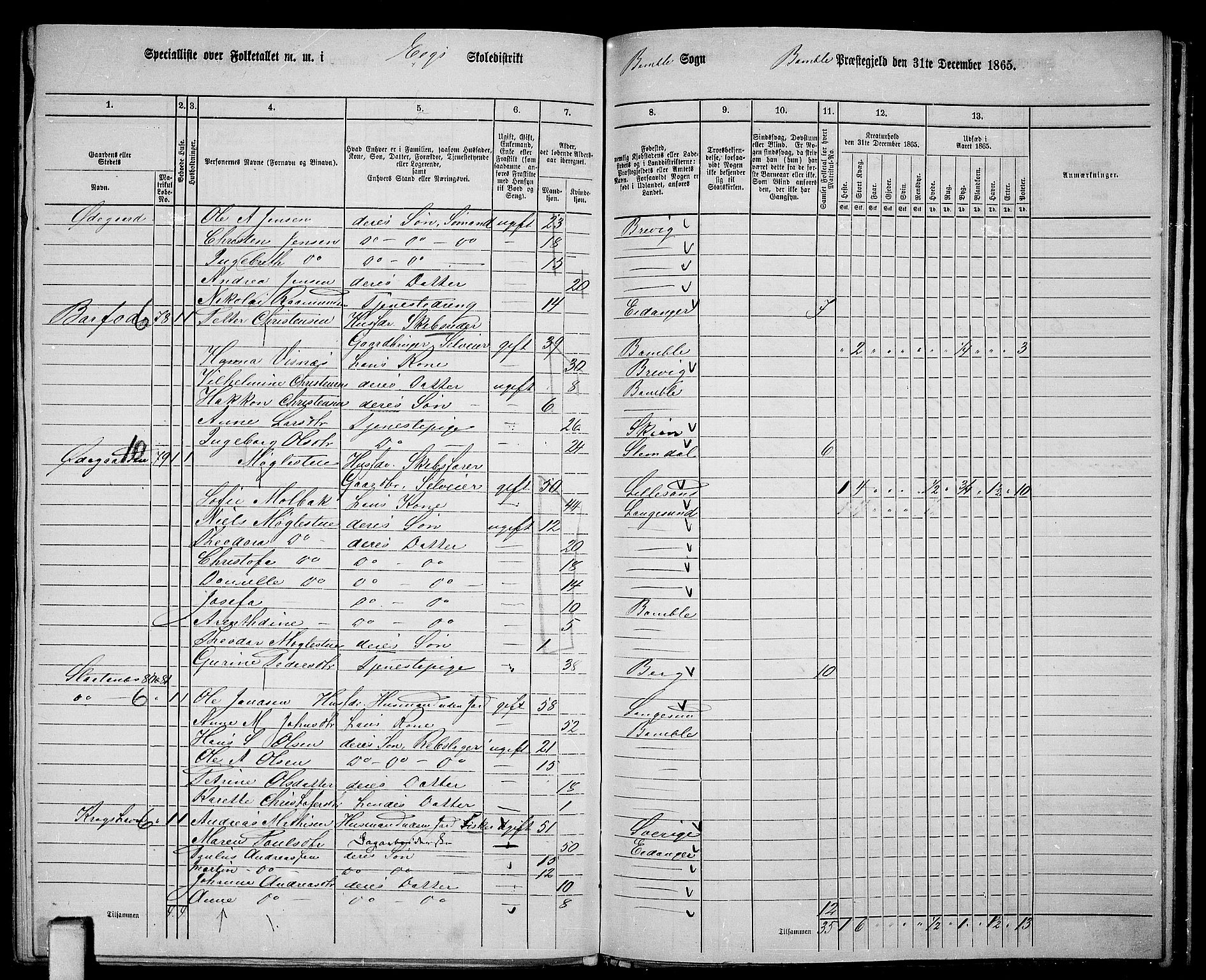 RA, 1865 census for Bamble, 1865, p. 163