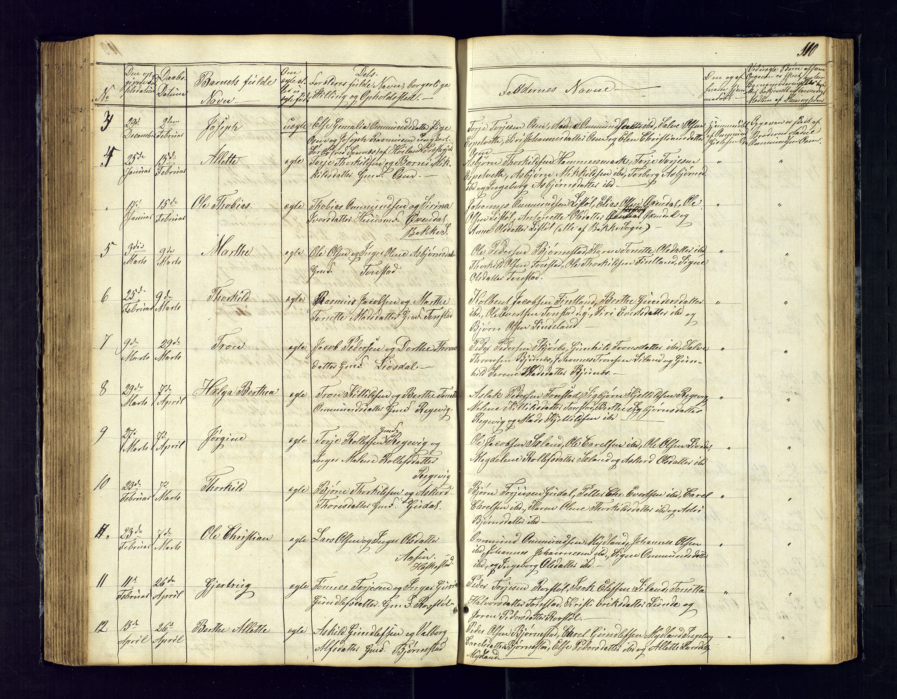 Sirdal sokneprestkontor, AV/SAK-1111-0036/F/Fb/Fbb/L0002: Parish register (copy) no. B-2, 1848-1878, p. 110