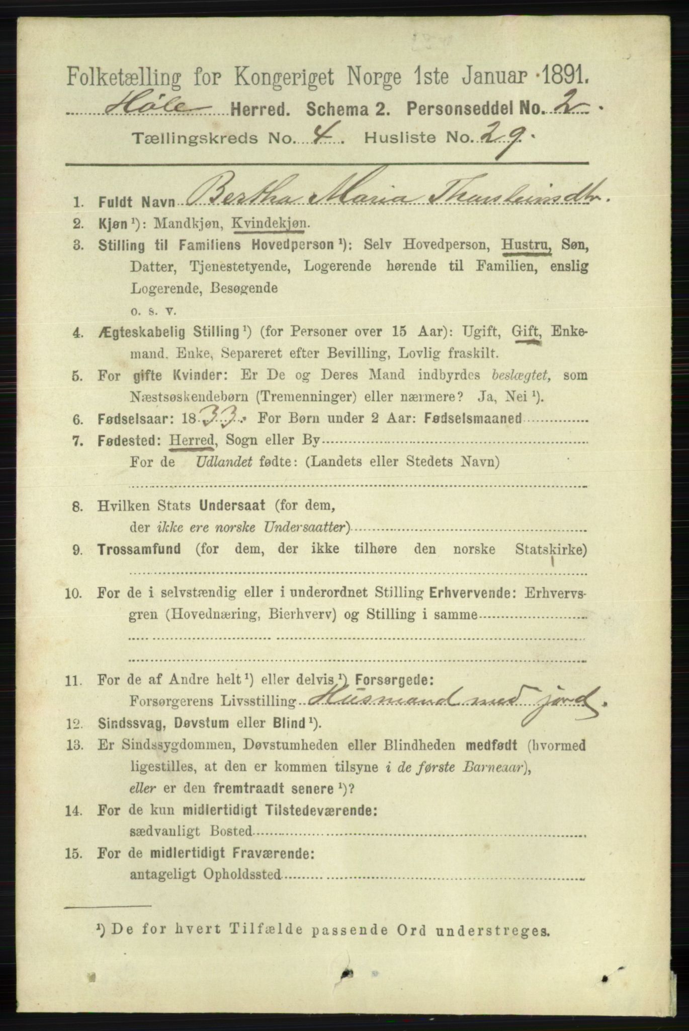 RA, 1891 census for 1128 Høle, 1891, p. 1012