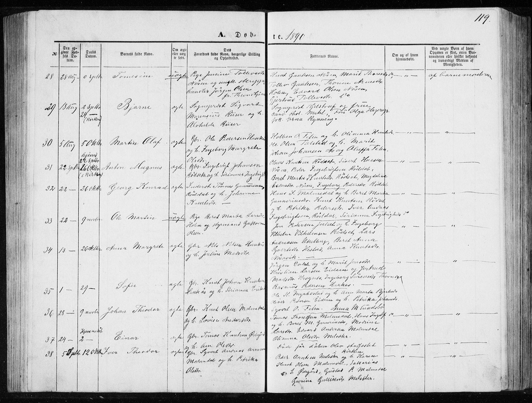 Ministerialprotokoller, klokkerbøker og fødselsregistre - Møre og Romsdal, SAT/A-1454/565/L0754: Parish register (copy) no. 565C03, 1870-1896, p. 119