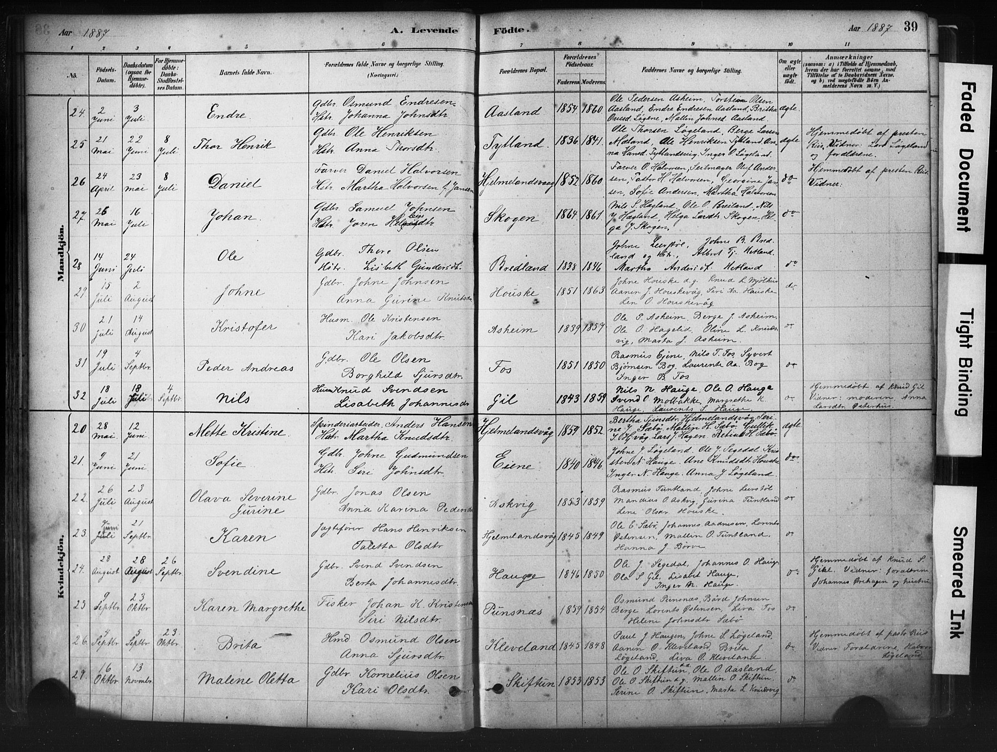 Hjelmeland sokneprestkontor, AV/SAST-A-101843/01/IV/L0014: Parish register (official) no. A 14, 1879-1900, p. 39