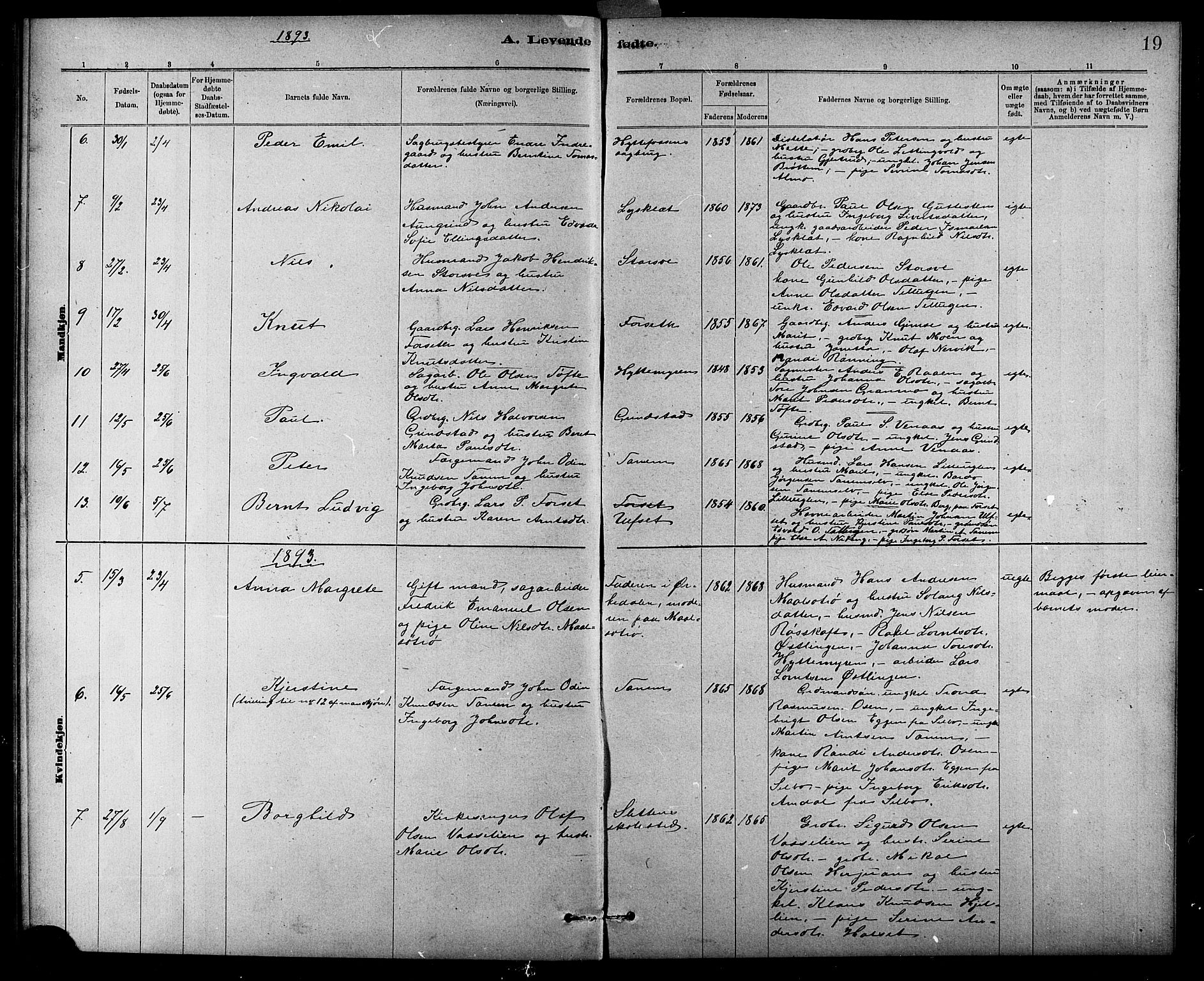 Ministerialprotokoller, klokkerbøker og fødselsregistre - Sør-Trøndelag, SAT/A-1456/618/L0452: Parish register (copy) no. 618C03, 1884-1906, p. 19